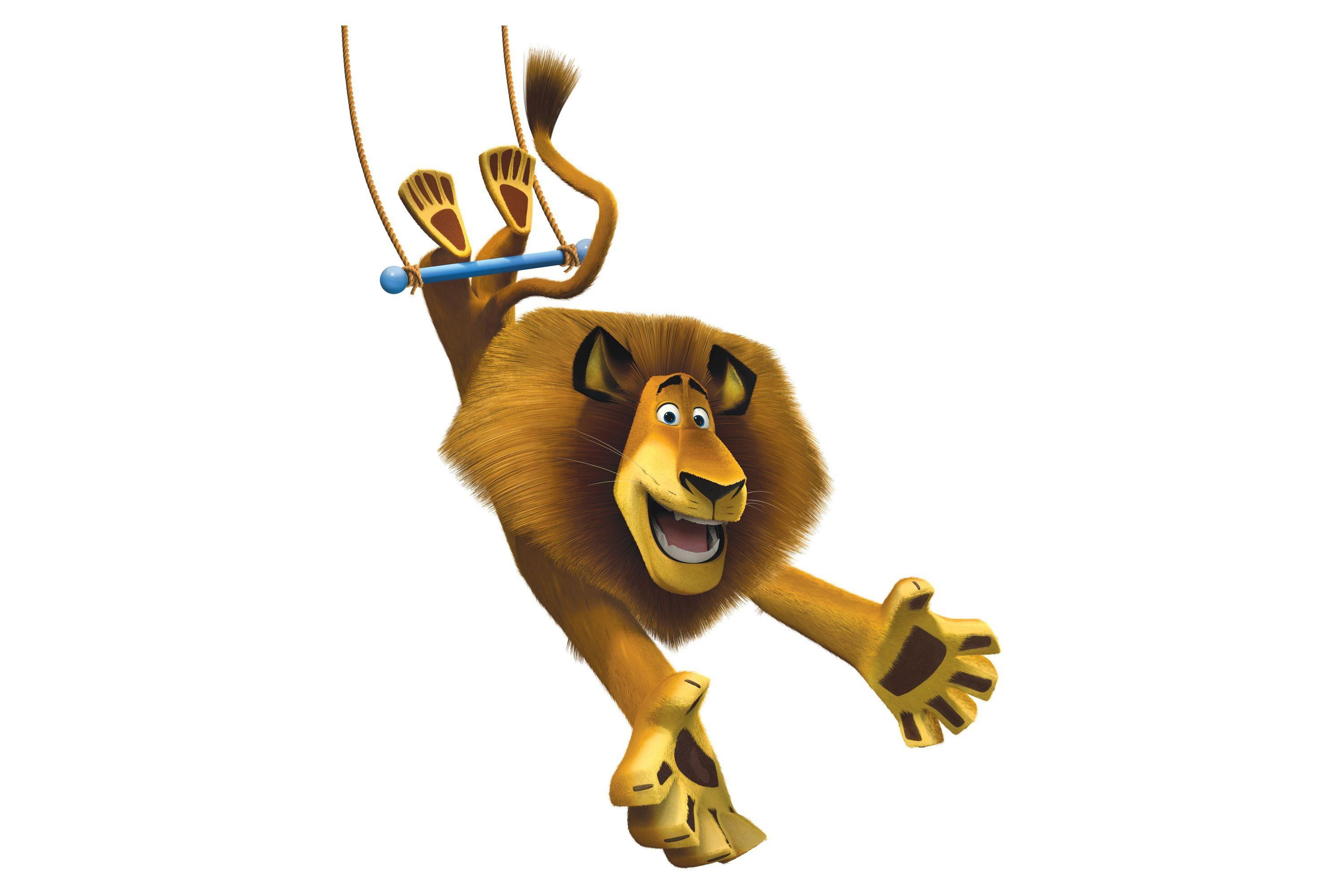 3000x2000 Free download Madagascar 2 Wallpaper Tlcharger HD Wallpaper