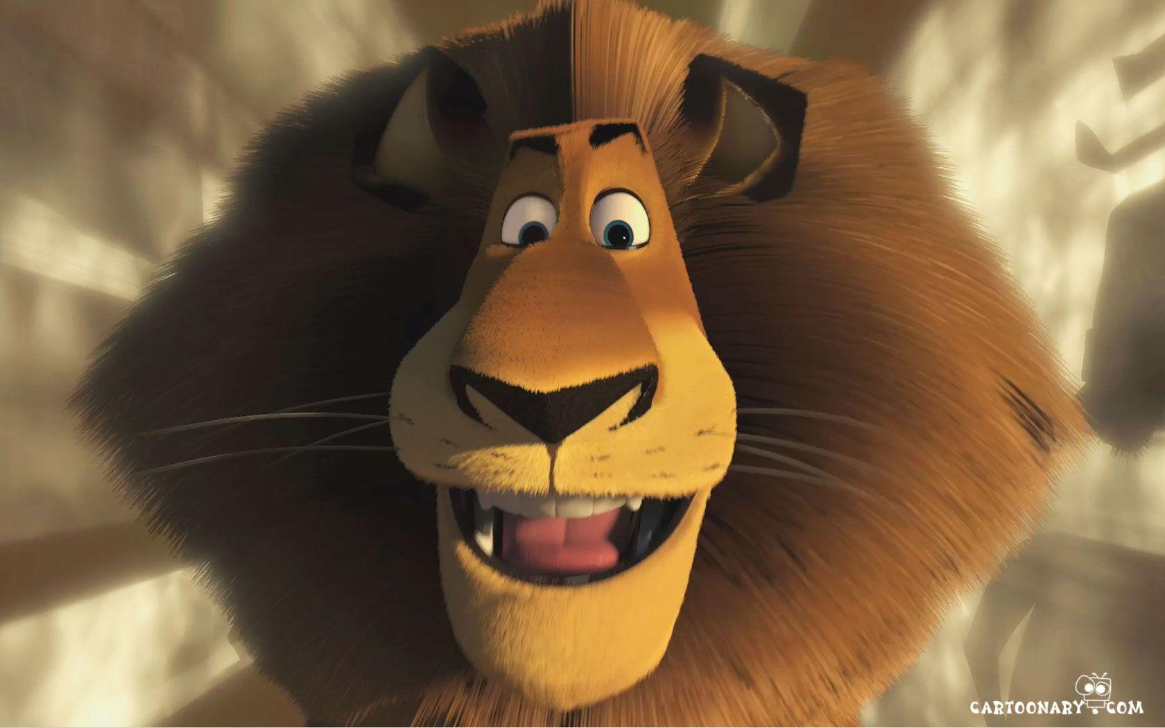 1680x1050 Alex Wallpaper the Lion Wallpaper