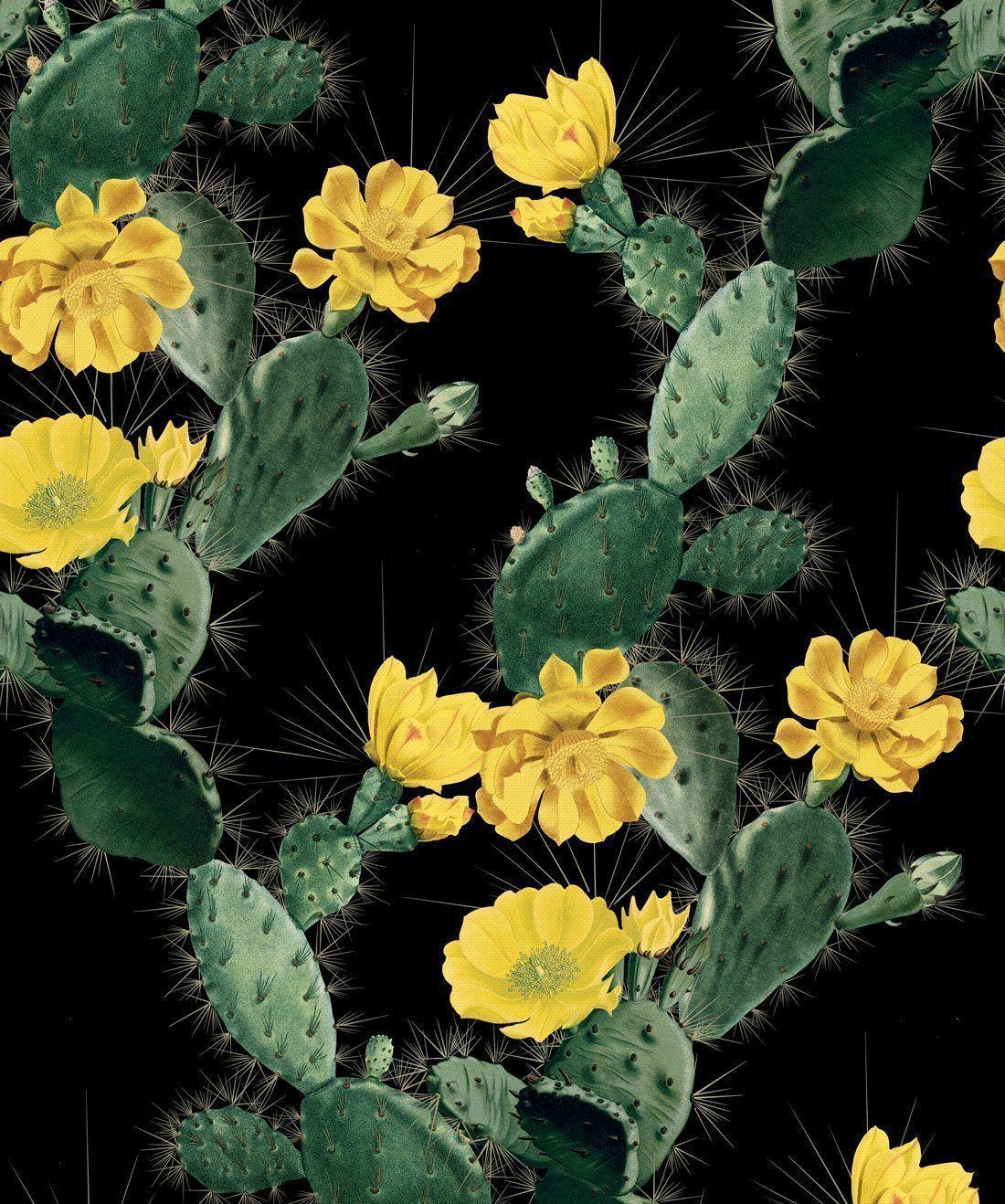 1100x1318 Cactus And Sunflower Wallpaper. Plant