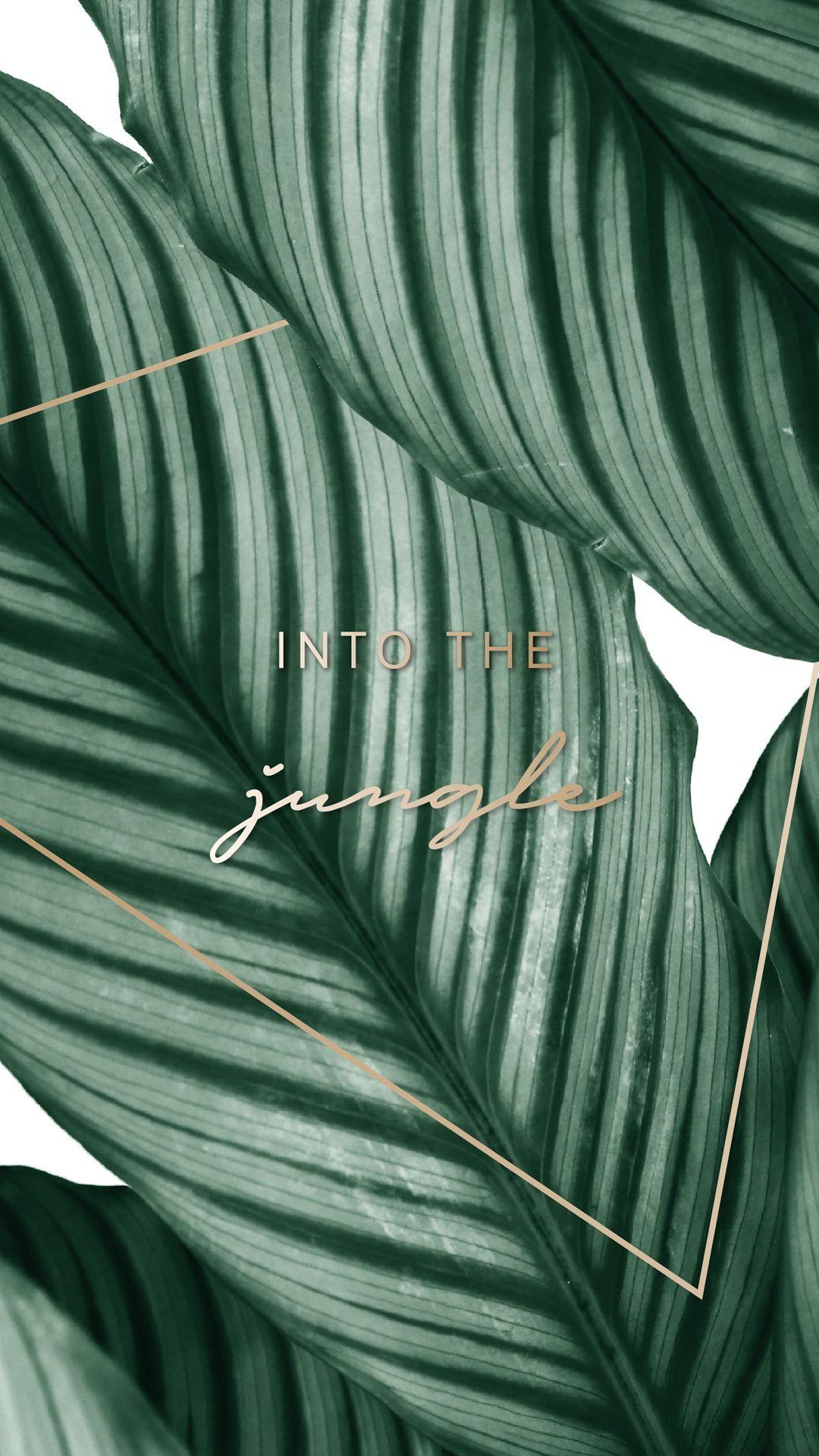 1080x1920 Free Wallpaper. Discover new Designs every Month. JO & JUDY