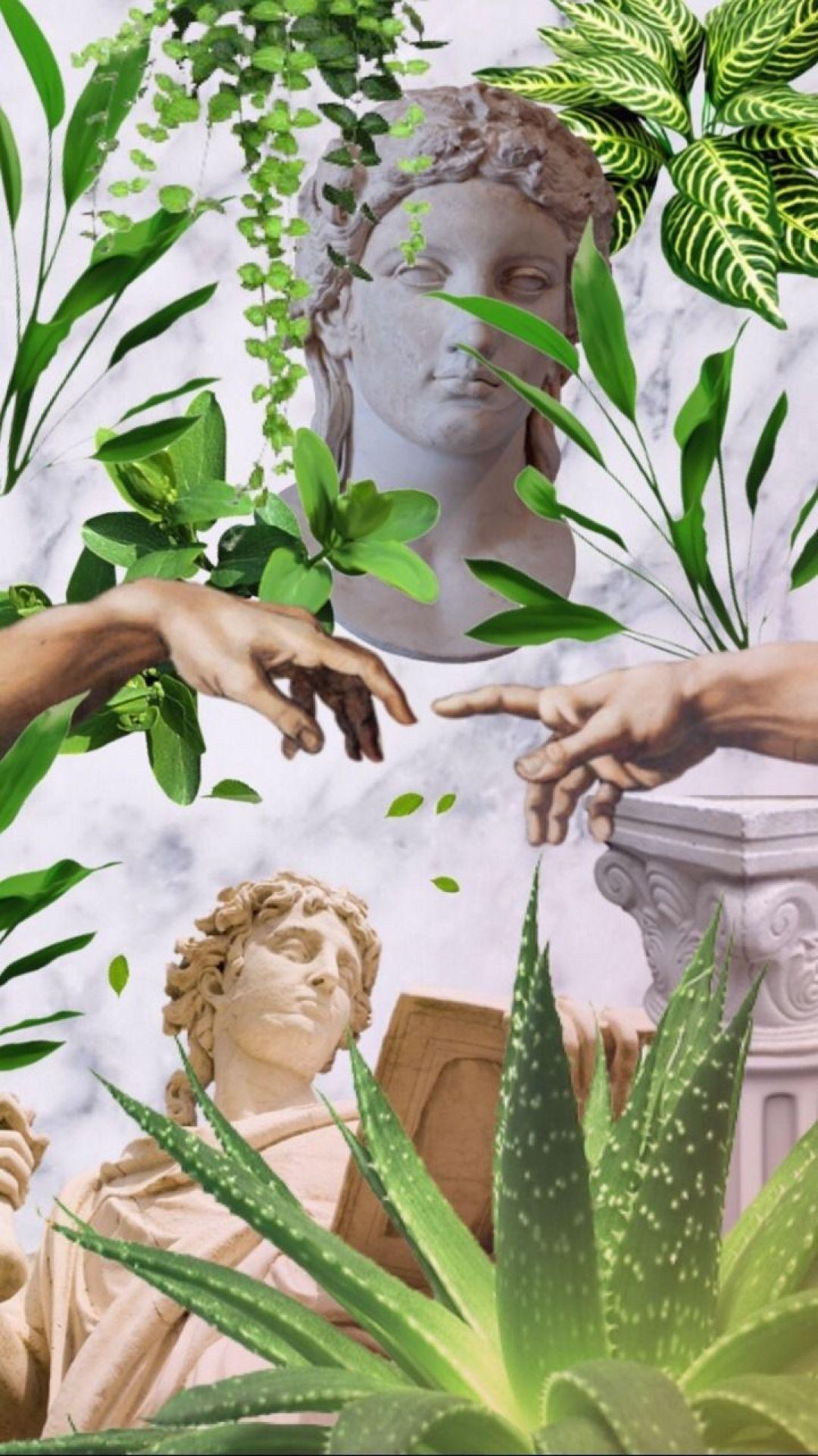 1080x1923 Plant Aesthetic, iPhone, Desktop HD Background
