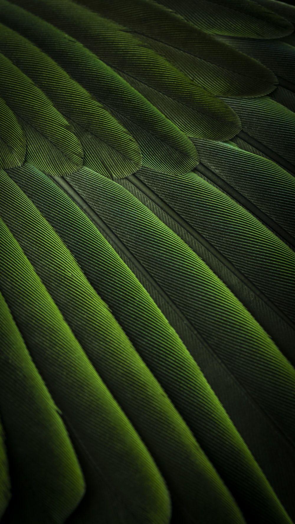 1000x1778 green 3D wallpaper photo