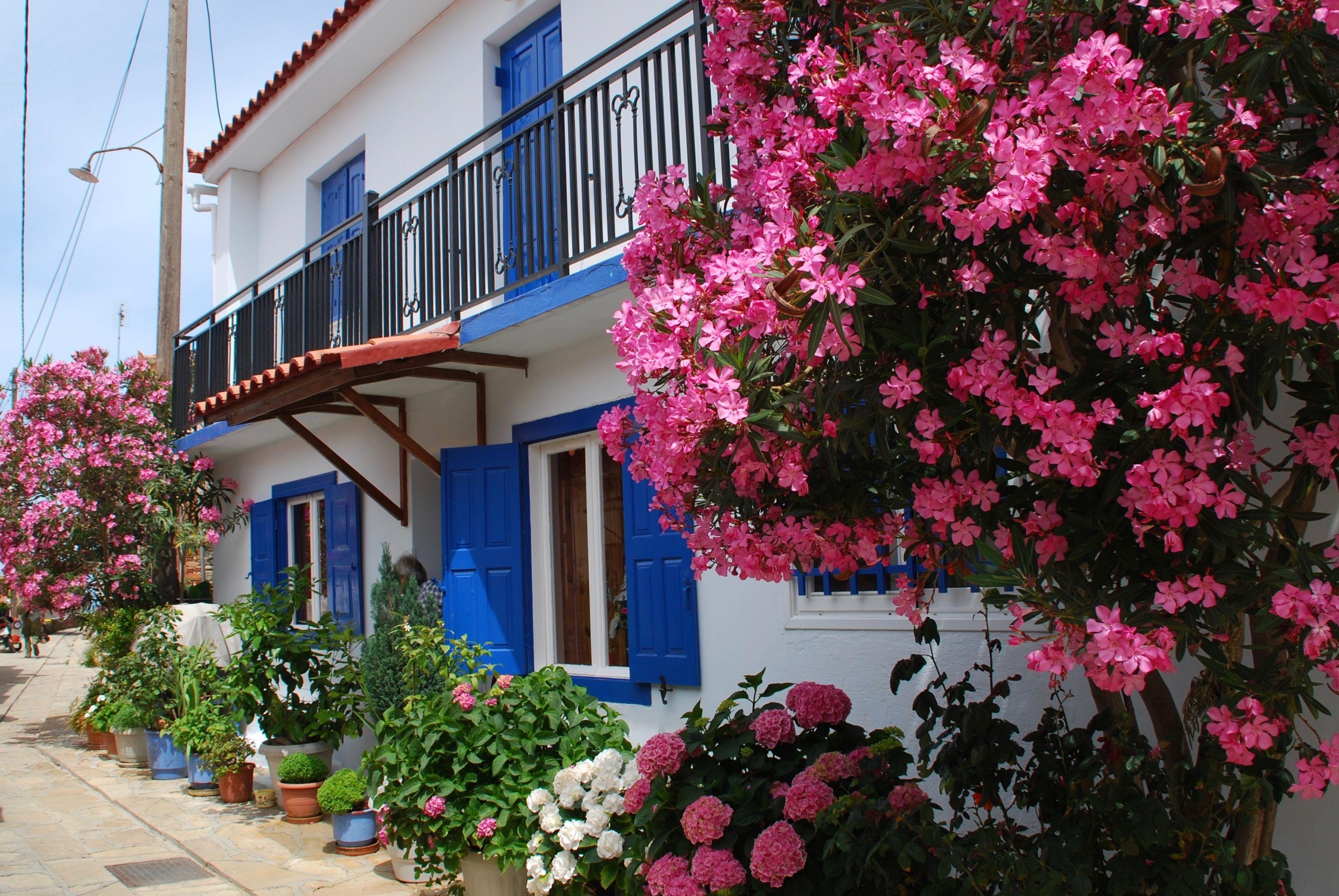 3335x2232 A beautiful house and garden in Greece Full HD Wallpaper