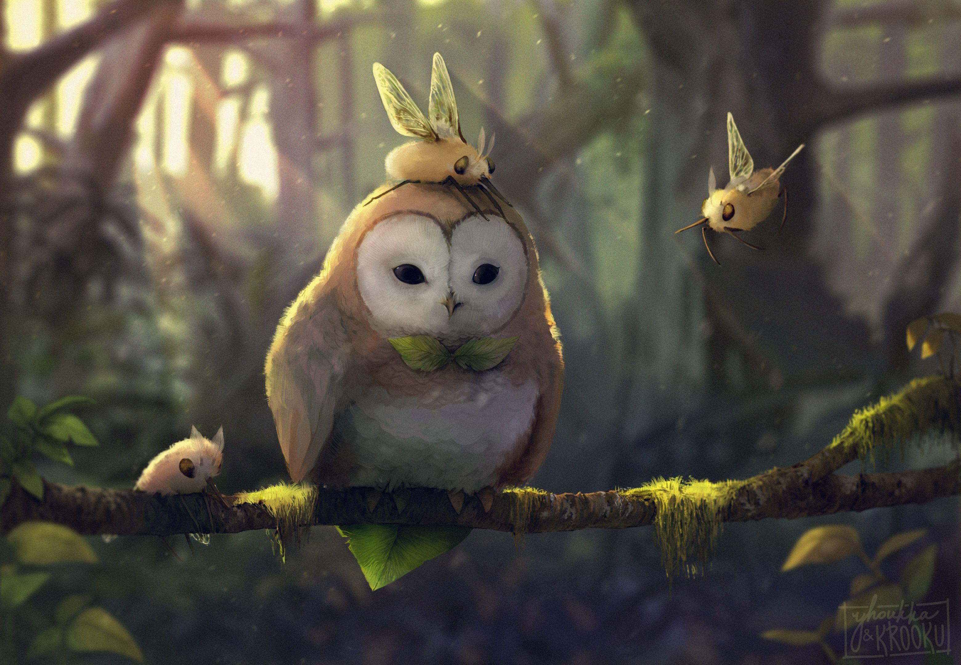 3120x2160 Tranquil Owl, HD Artist, 4k Wallpaper, Image, Background