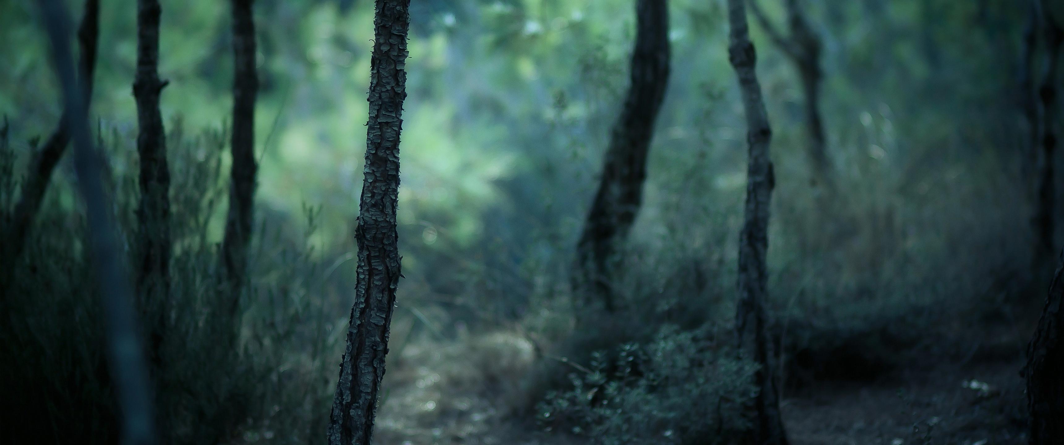 3440x1440 Ultrawide Wallpaper dedicated for 21:9 3440x2560x1080 Displays!