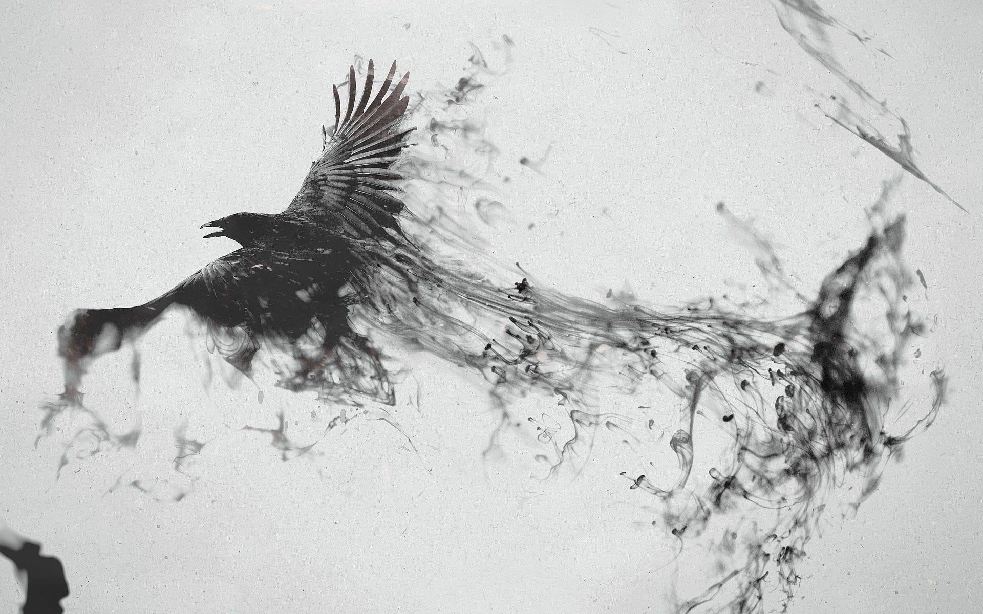 Hình nền 1920x1200 Quạ đen bay, chim, cánh, hút thuốc lá, Hình ảnh sáng tạo