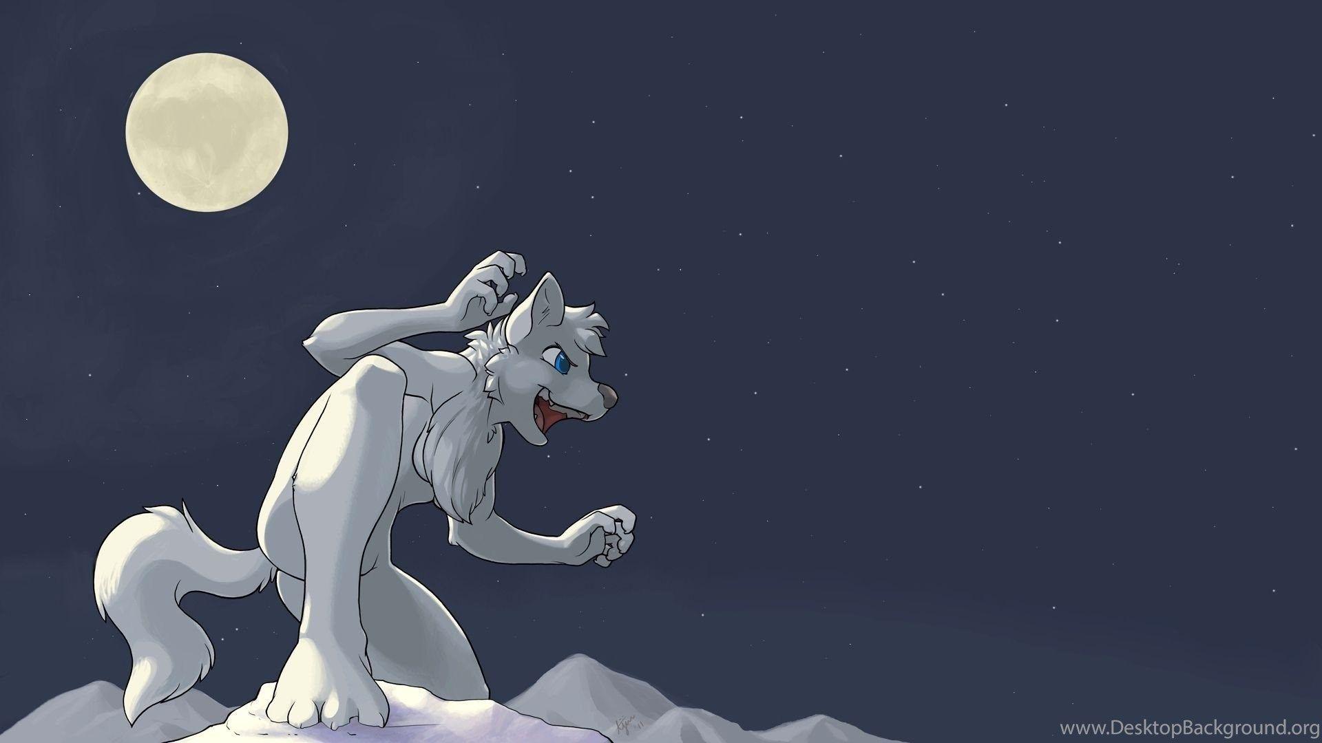 1920x1080 Wallpaper Furry Stars Blue Eyes Moon Ajin Fandom 1920x1080