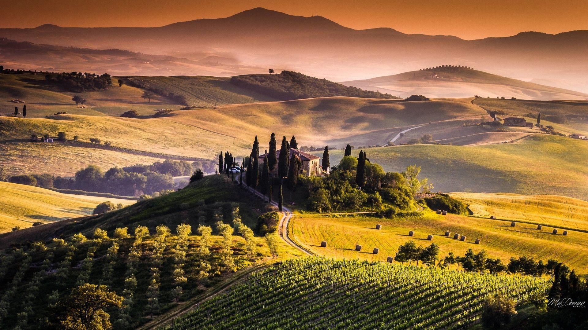 1920x1080 Free download Tuscany Vineyard wallpaper [1920x1080]