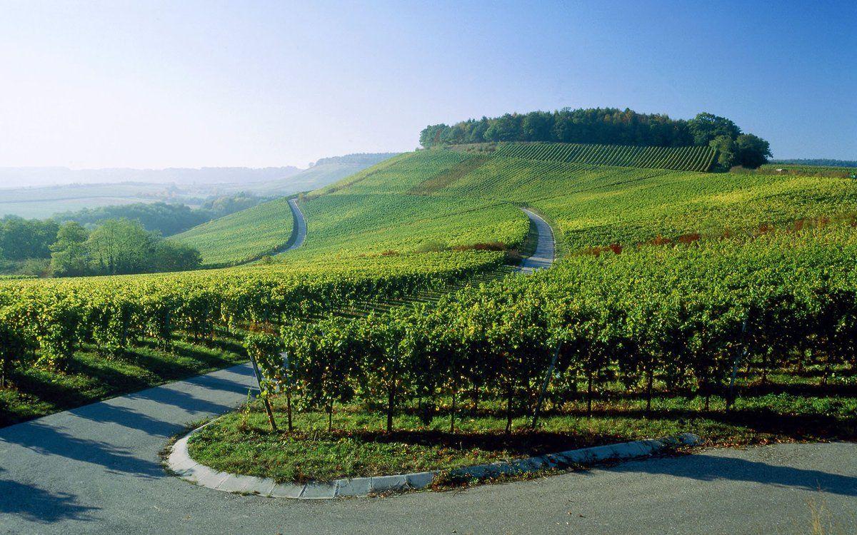 1200x750 Julien Miquel #Wine, #Travel, #Wine