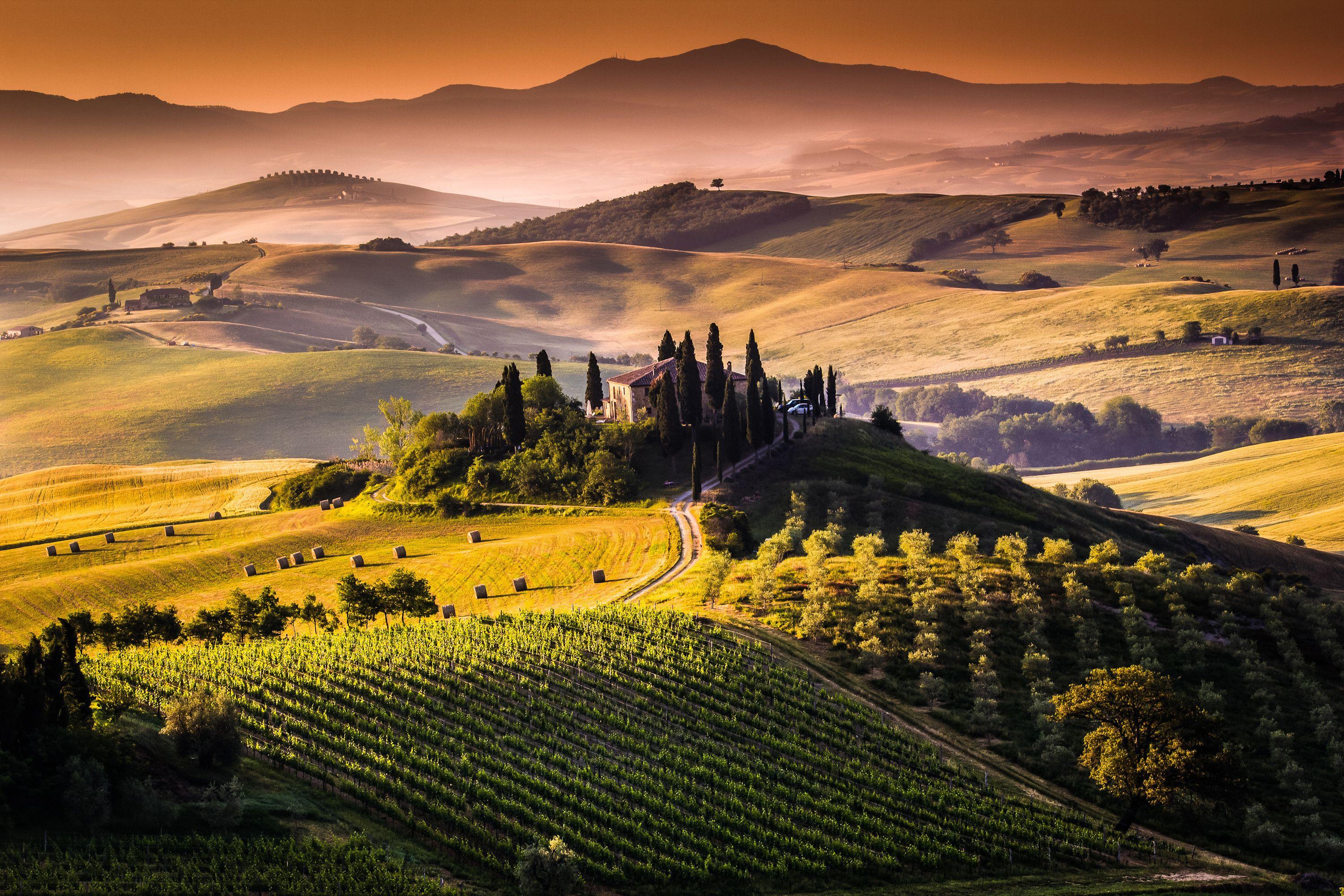 3000x2000 Widescreen HDQ Wallpaper of Vineyard for Windows and Mac Systems