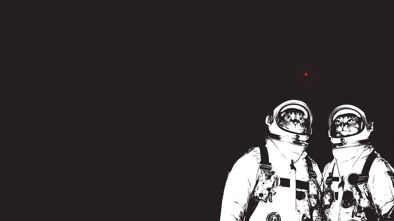 1280x720 Free download Displaying 16 Image For Hipster Cat Wallpaper