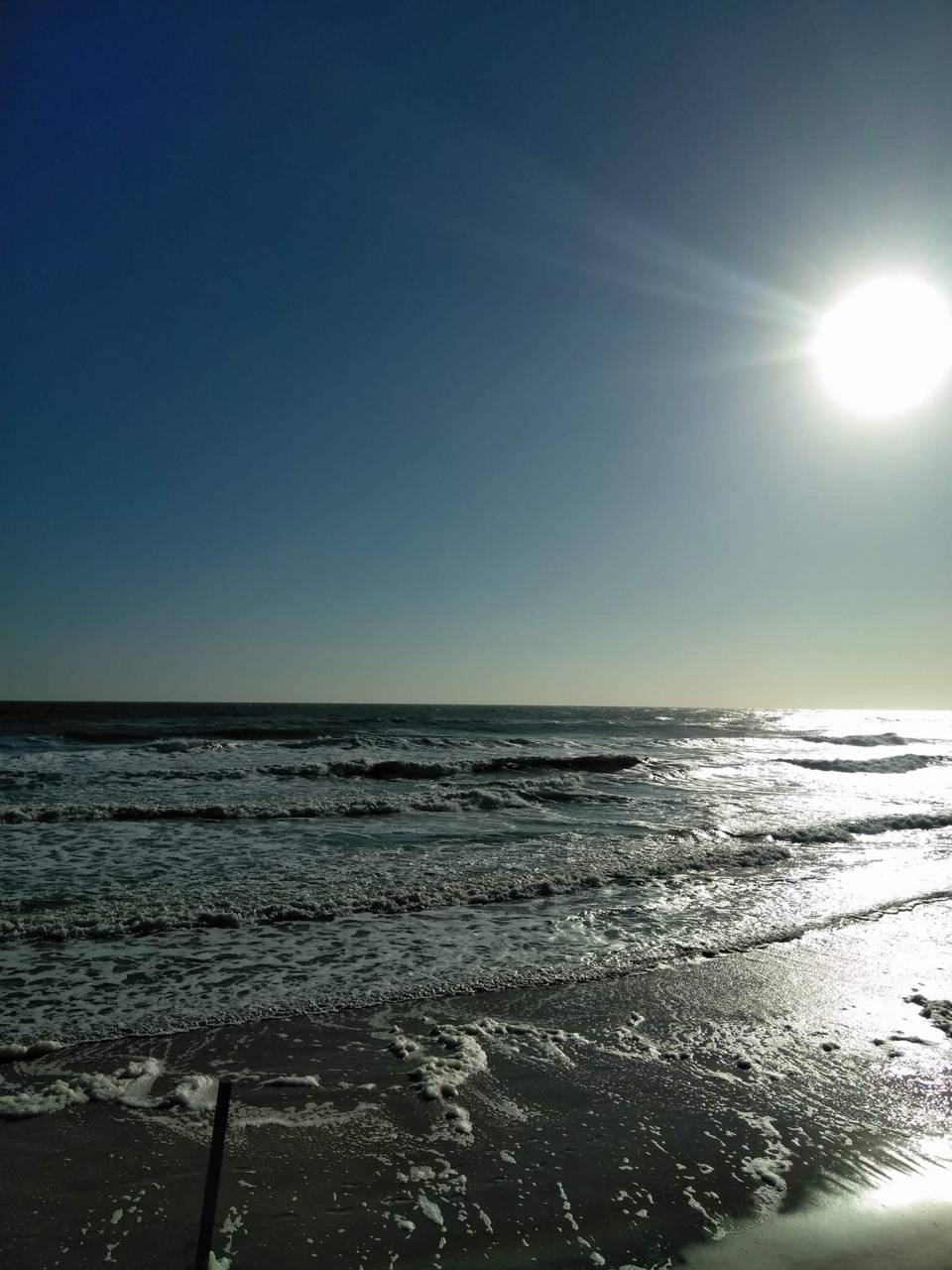 960x1280 Daytona Beach wallpaper