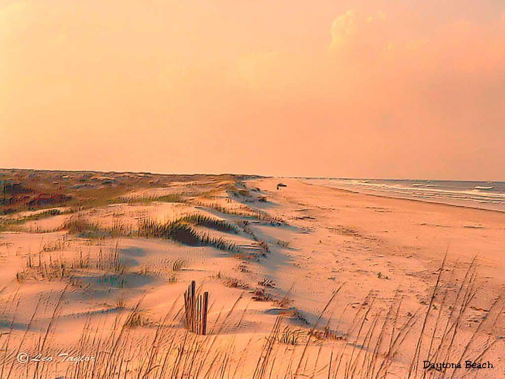 1024x768 Free download desktop background daytona beach Wallpaper