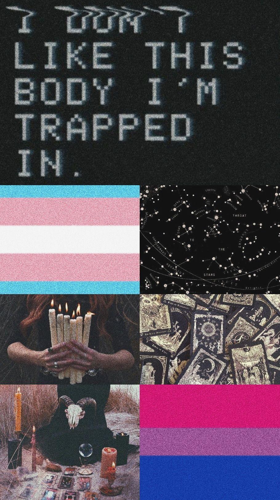 910x1620 Lgbt Aesthetics
