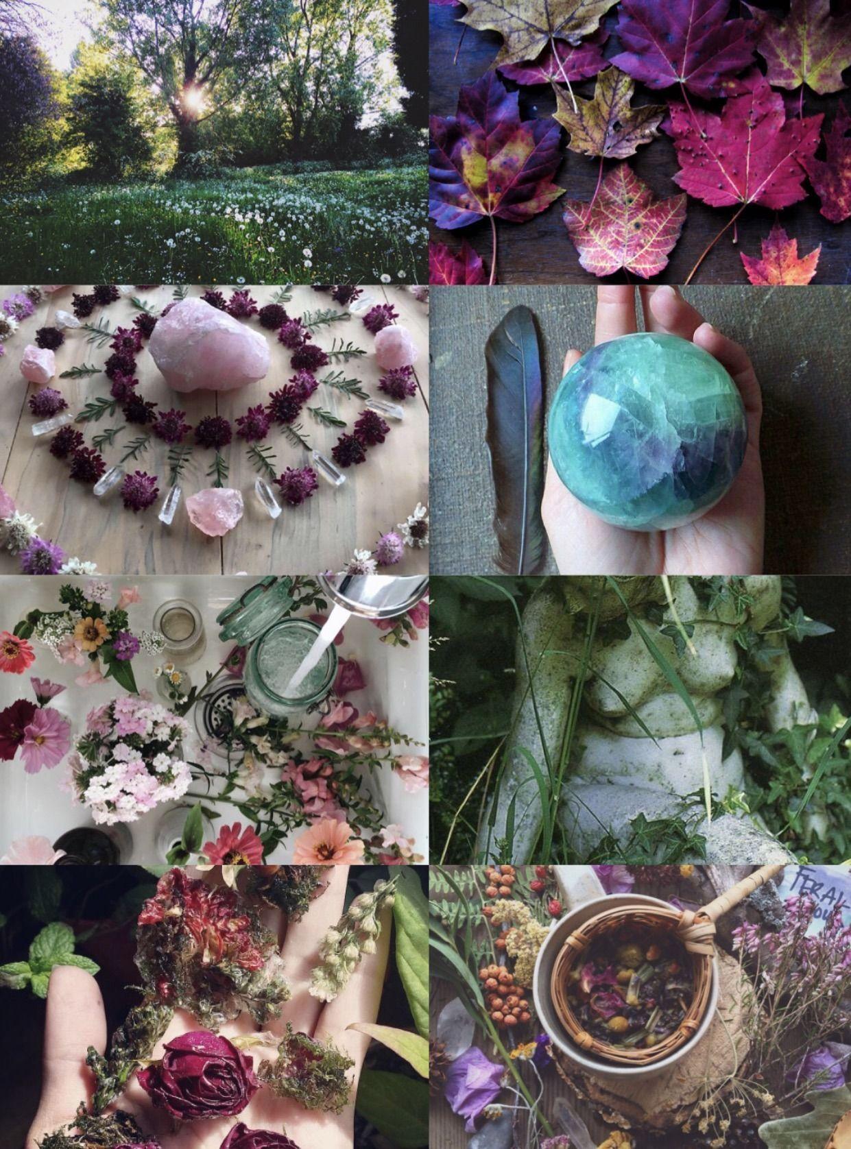 1241x1676 Nature Witch Aesthetic. Witch aesthetic, Nature witch