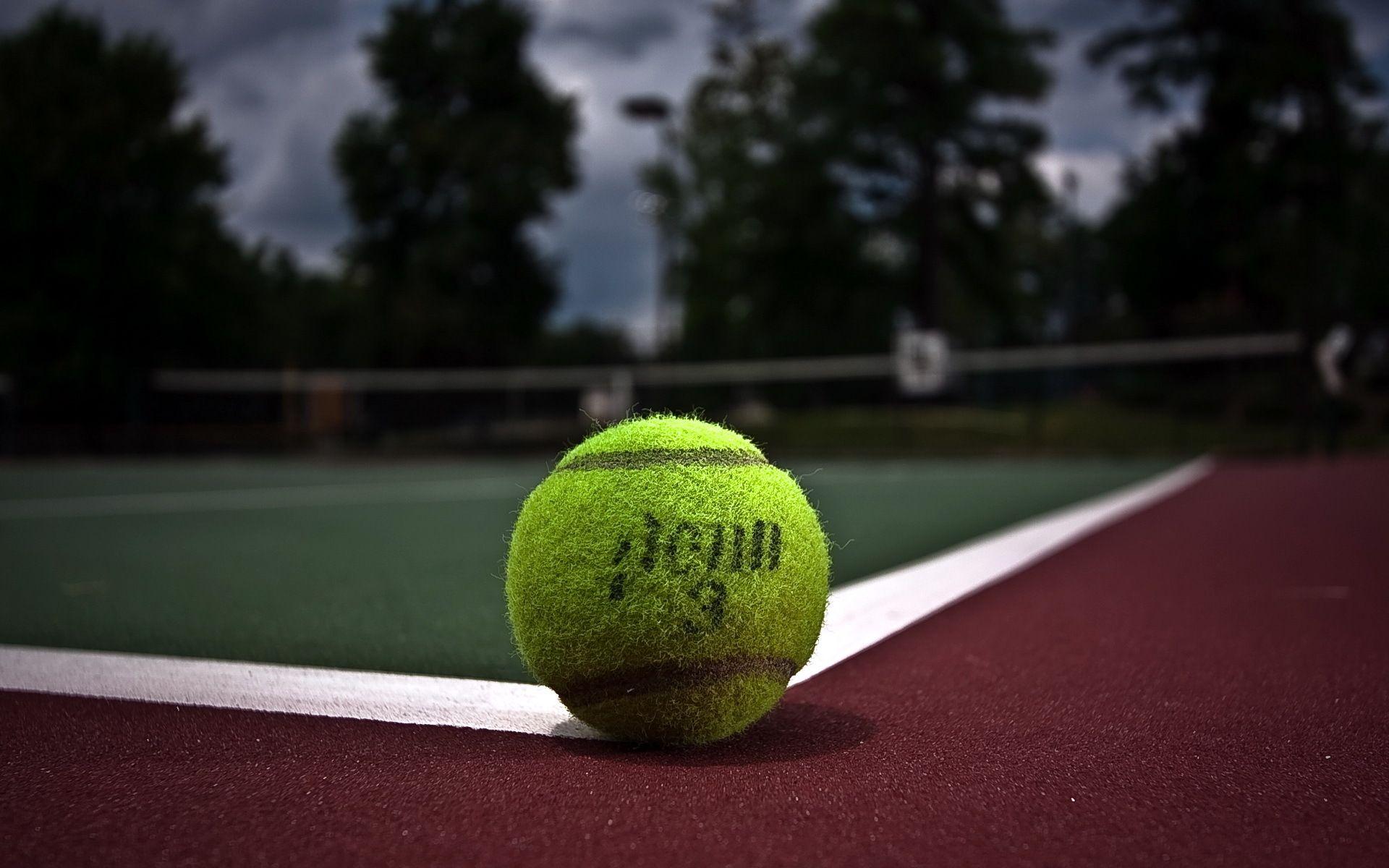 1920x1200 Tennis Ball Sport wallpaperx1200