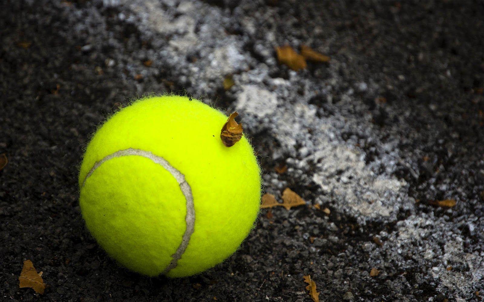 1600x1000 Tennis Stars: Tennis Ball Wallpaper