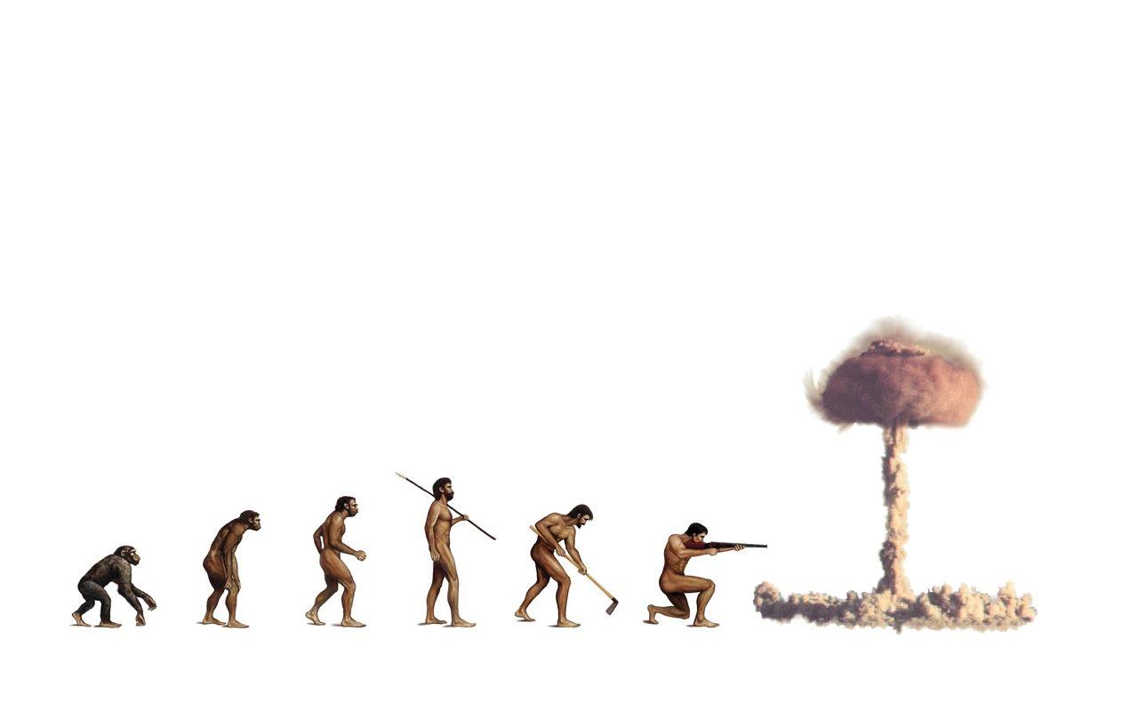 1280x800 Evolution Wallpaperx800