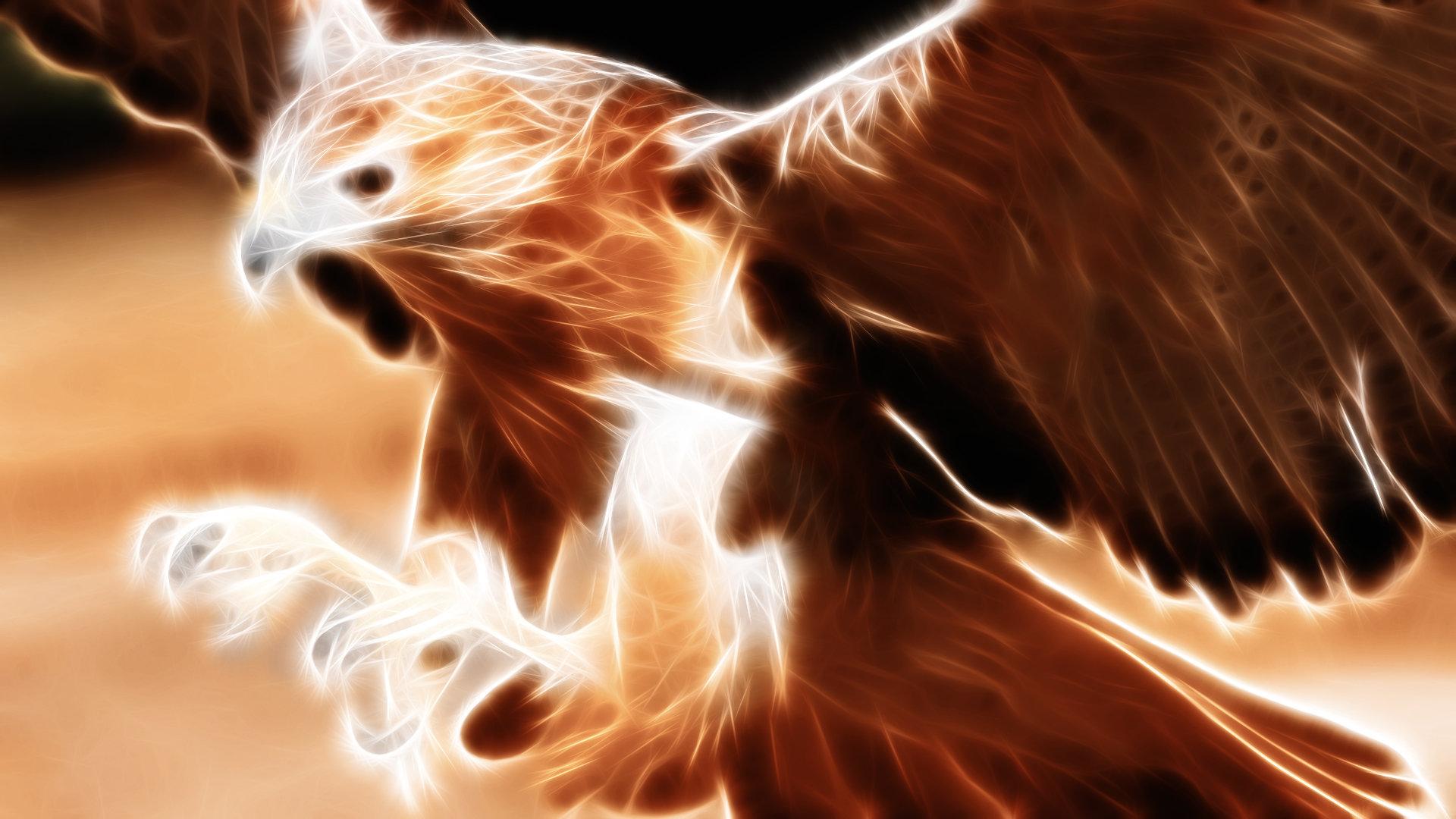 1920x1080 Eagle wallpaper 1920x1080 Full HD (1080p) desktop background