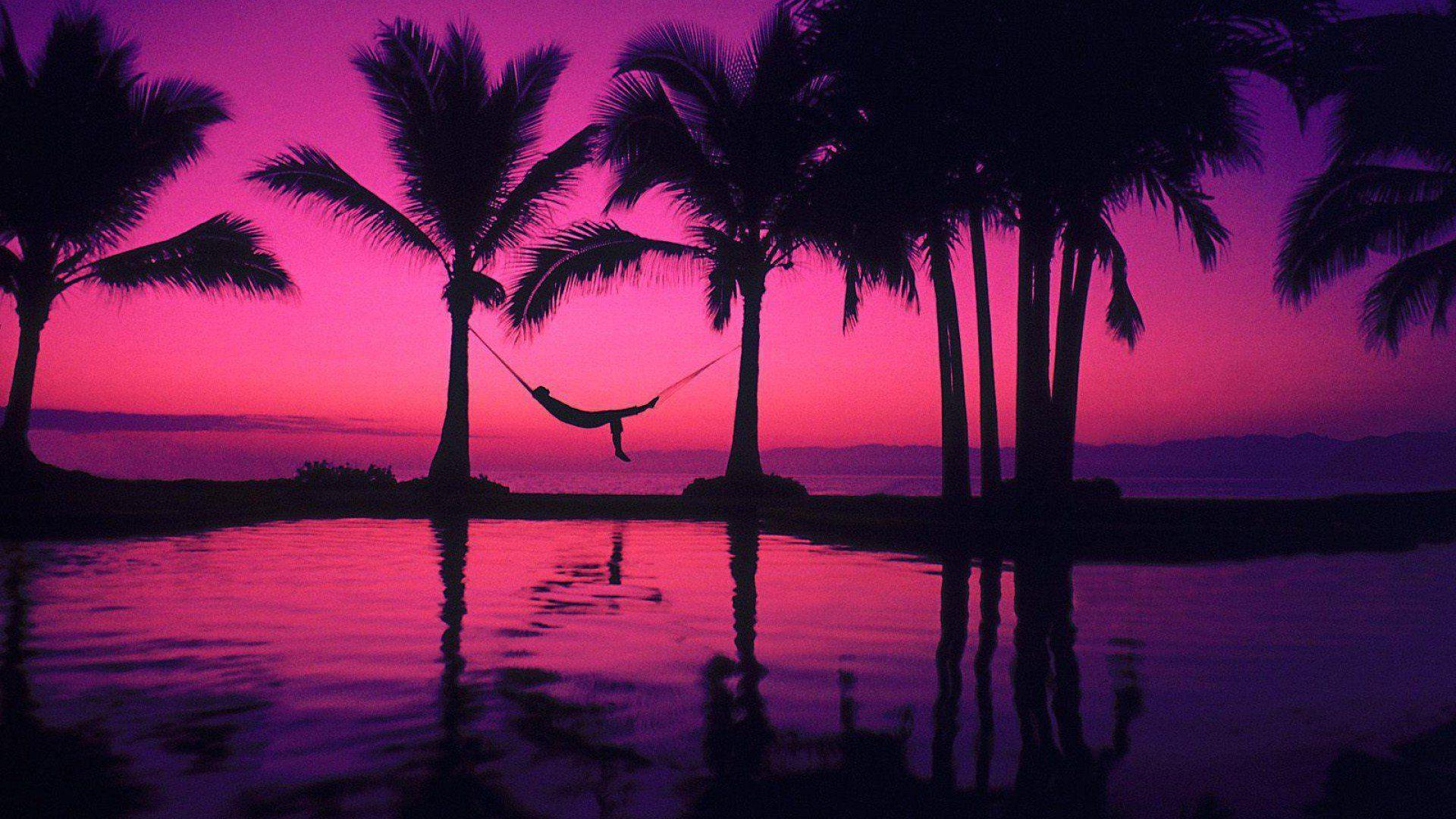 1920x1080 Wallpaper Purple Cool Beach Flowers Wallpaper Image