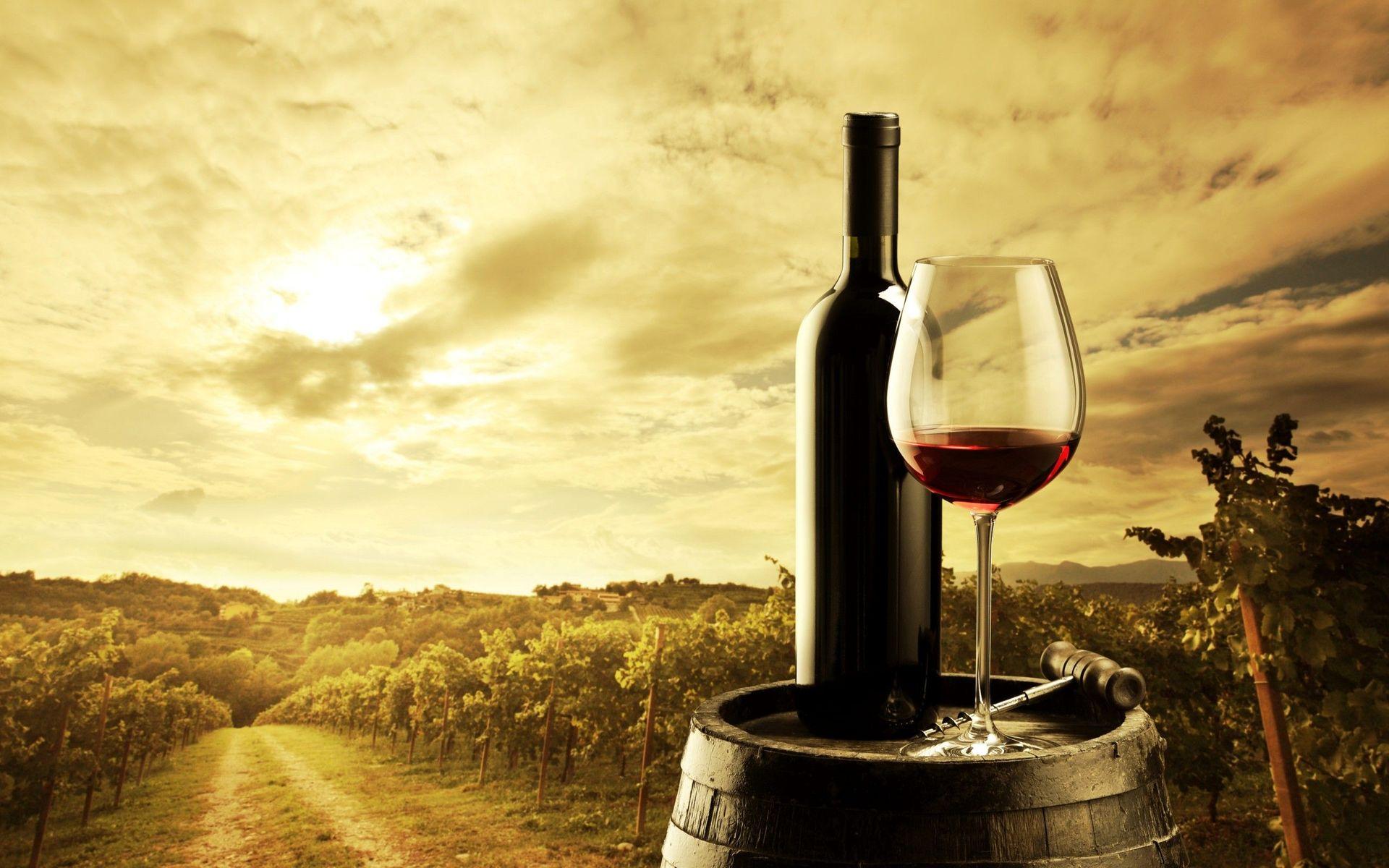 1920x1200 Vineyard and Wine Wallpaper