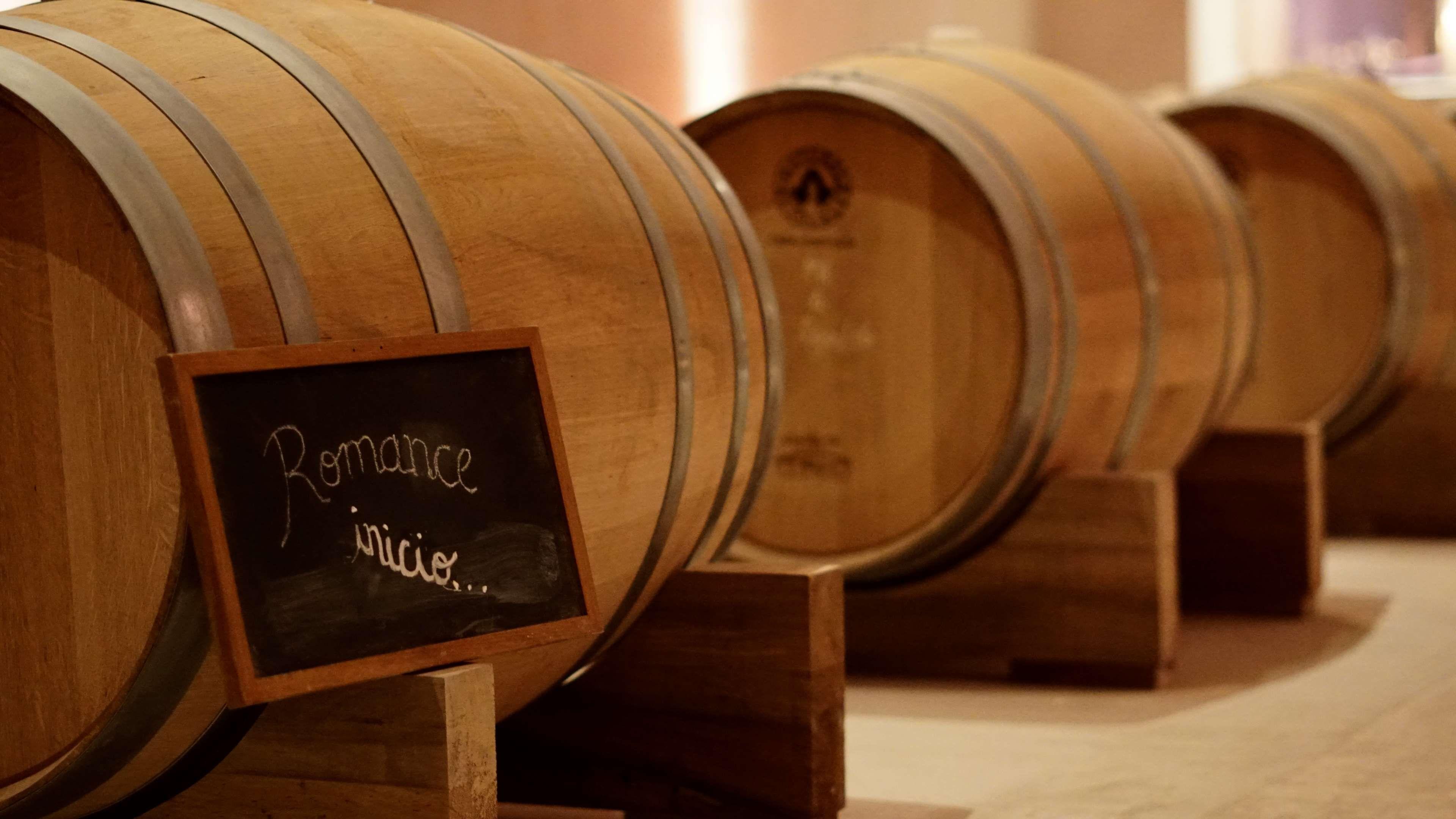 3840x2161 barrels #wine #wine barrels #winery. Wine barrel, Barrel, Winery