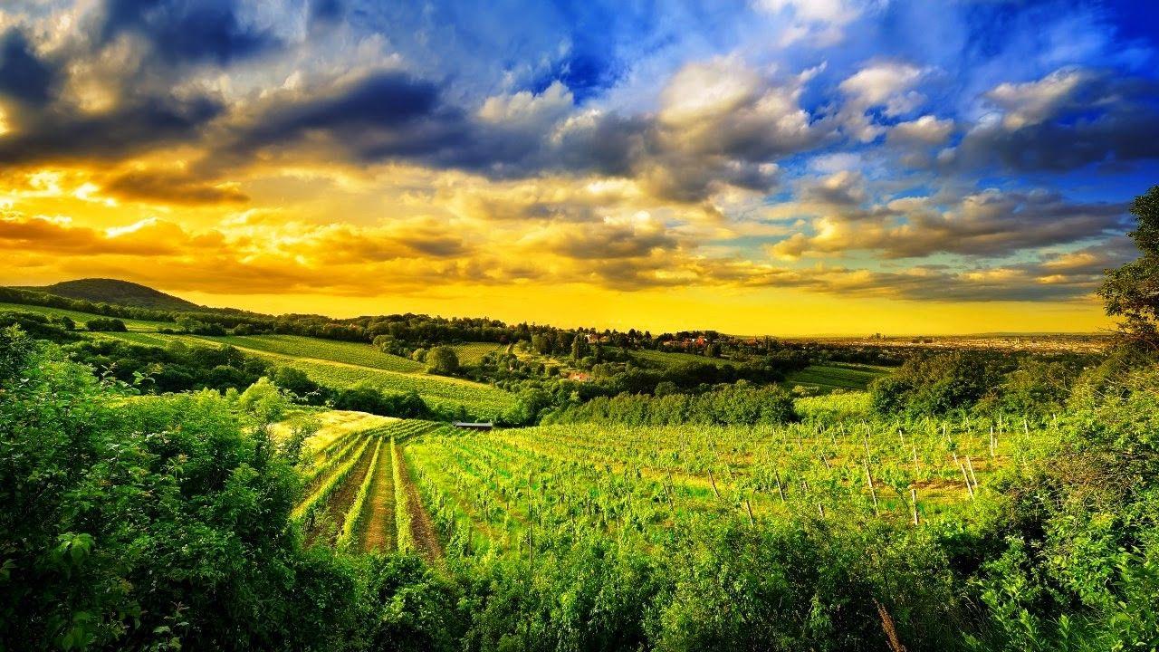 1280x720 Free download 8K 7680X4320 Ultra HD Resolution Desktop Wallpaper