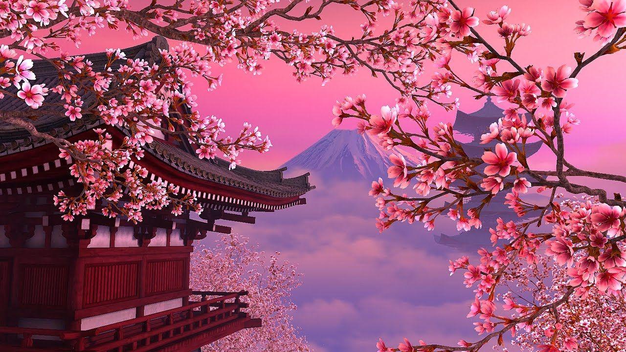 Japanese Art Cherry Blossom Wallpapers Top Free Japanese Art Cherry Blossom Backgrounds Wallpaperaccess