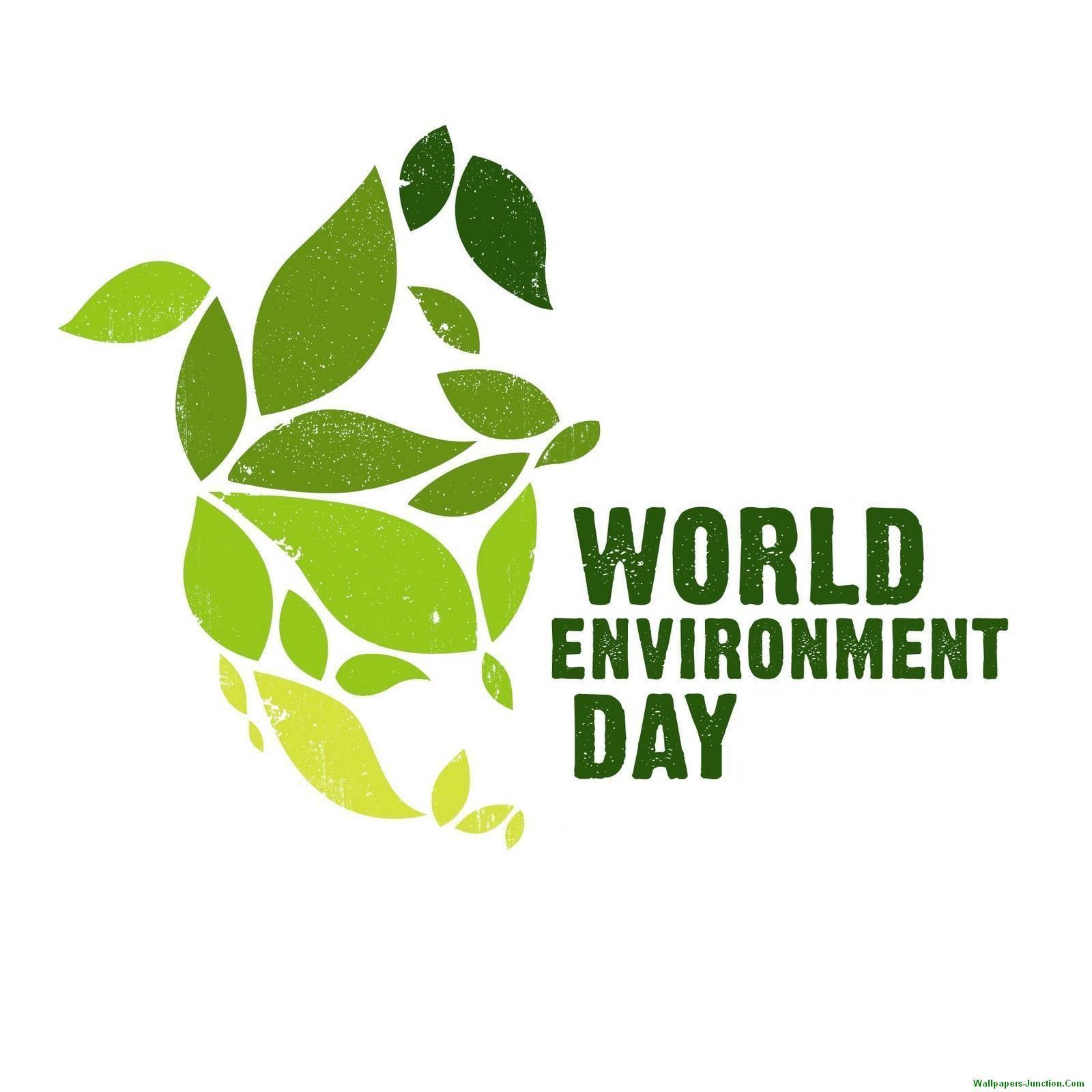 World Environment Day Wallpapers Top Free World Environment Day Backgrounds Wallpaperaccess