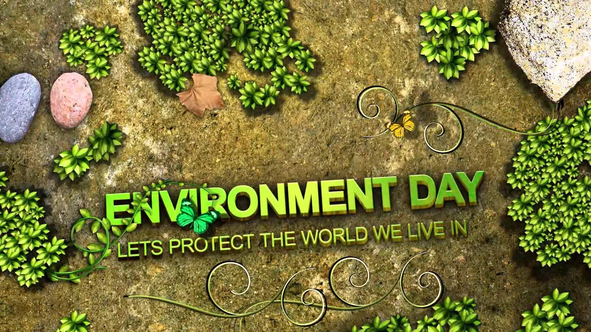 World Environment Day Wallpapers - Top Free World Environment Day  Backgrounds - WallpaperAccess