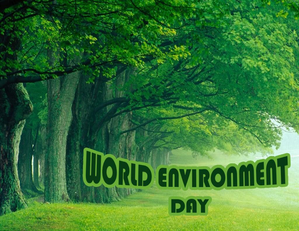 1024x792 Environment Day Wallpaper
