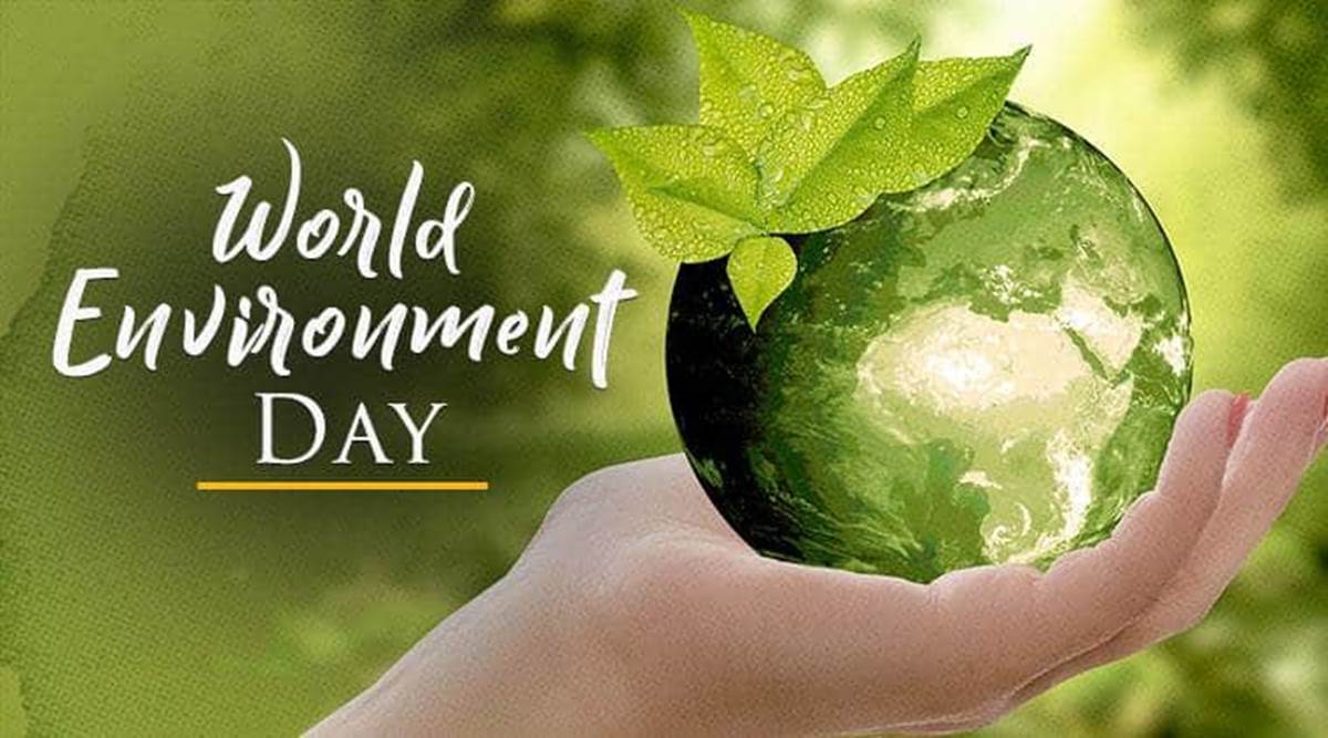 1200x667 World Environment Day 2019: Date, Theme, Slogans, History