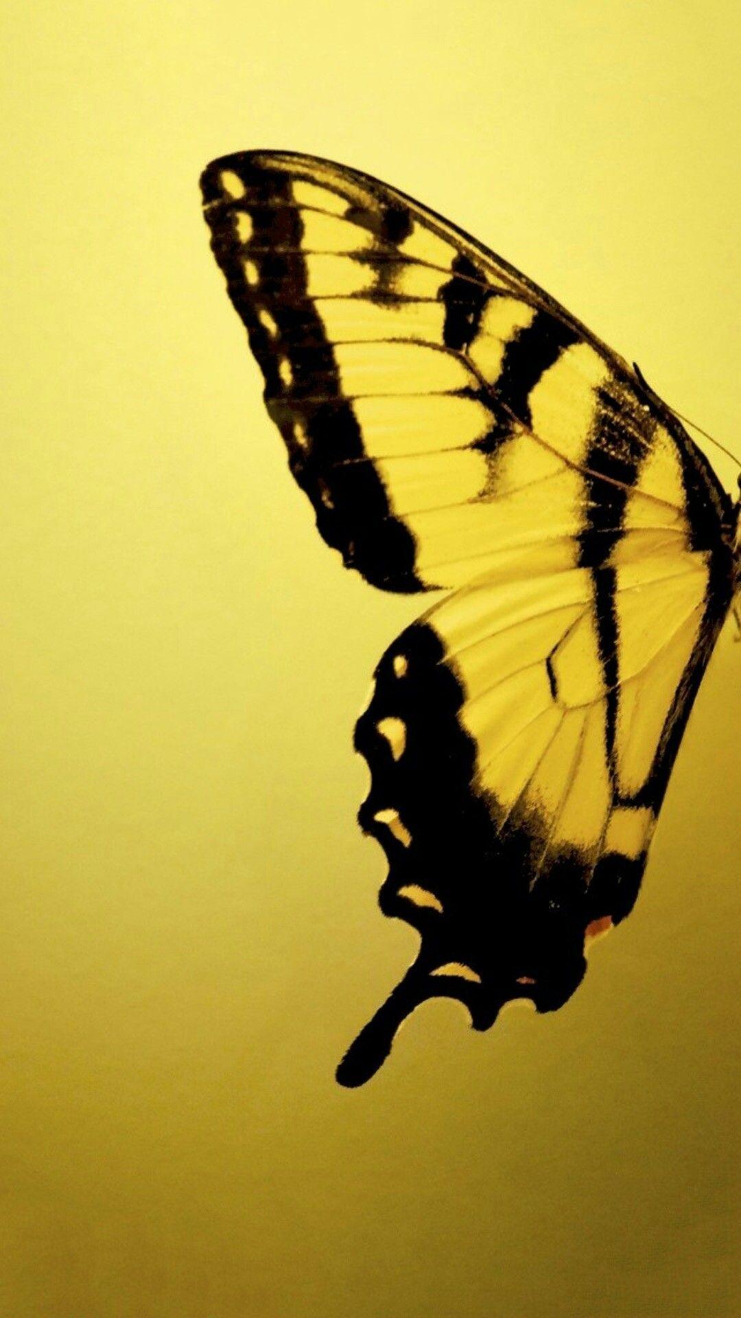1080x1920 Pin By Kendra Mager On Wallpaper Background