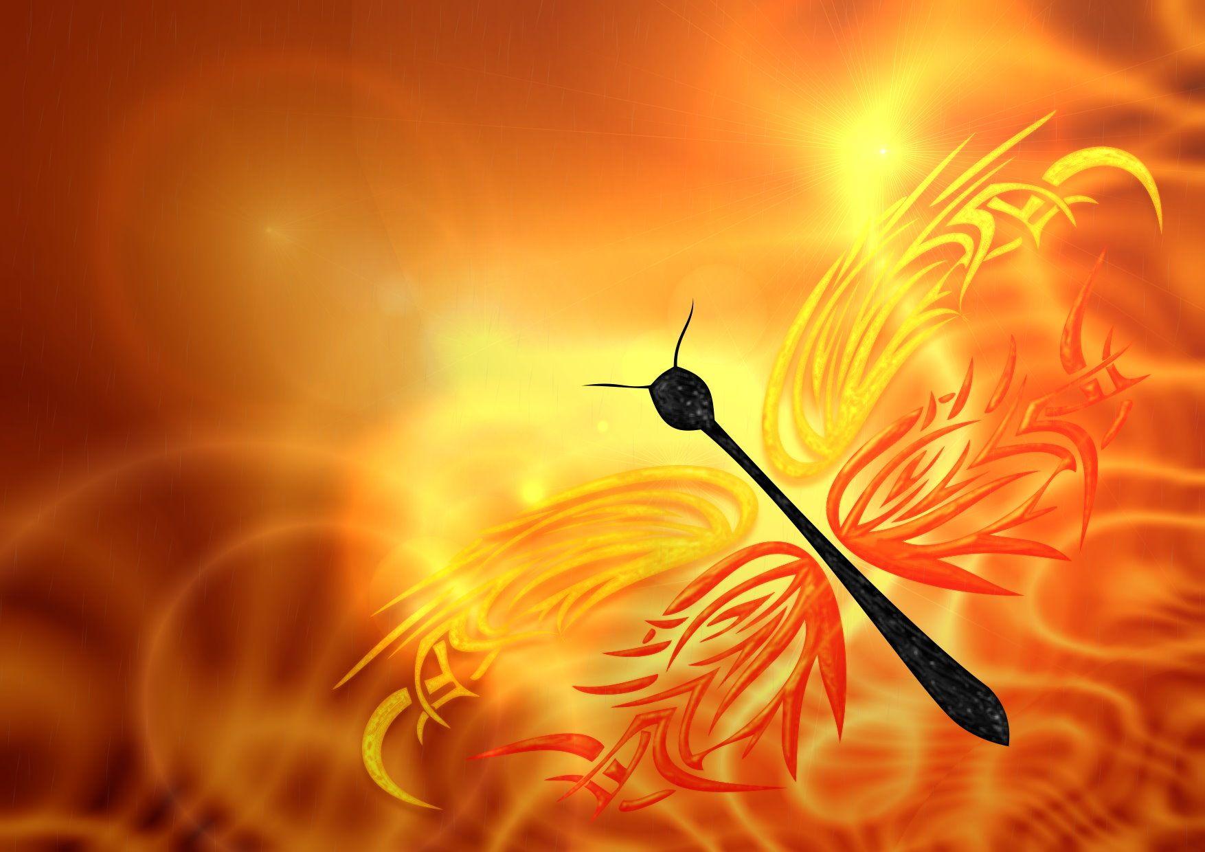 1754x1240 Butterfly Computer Background Background With