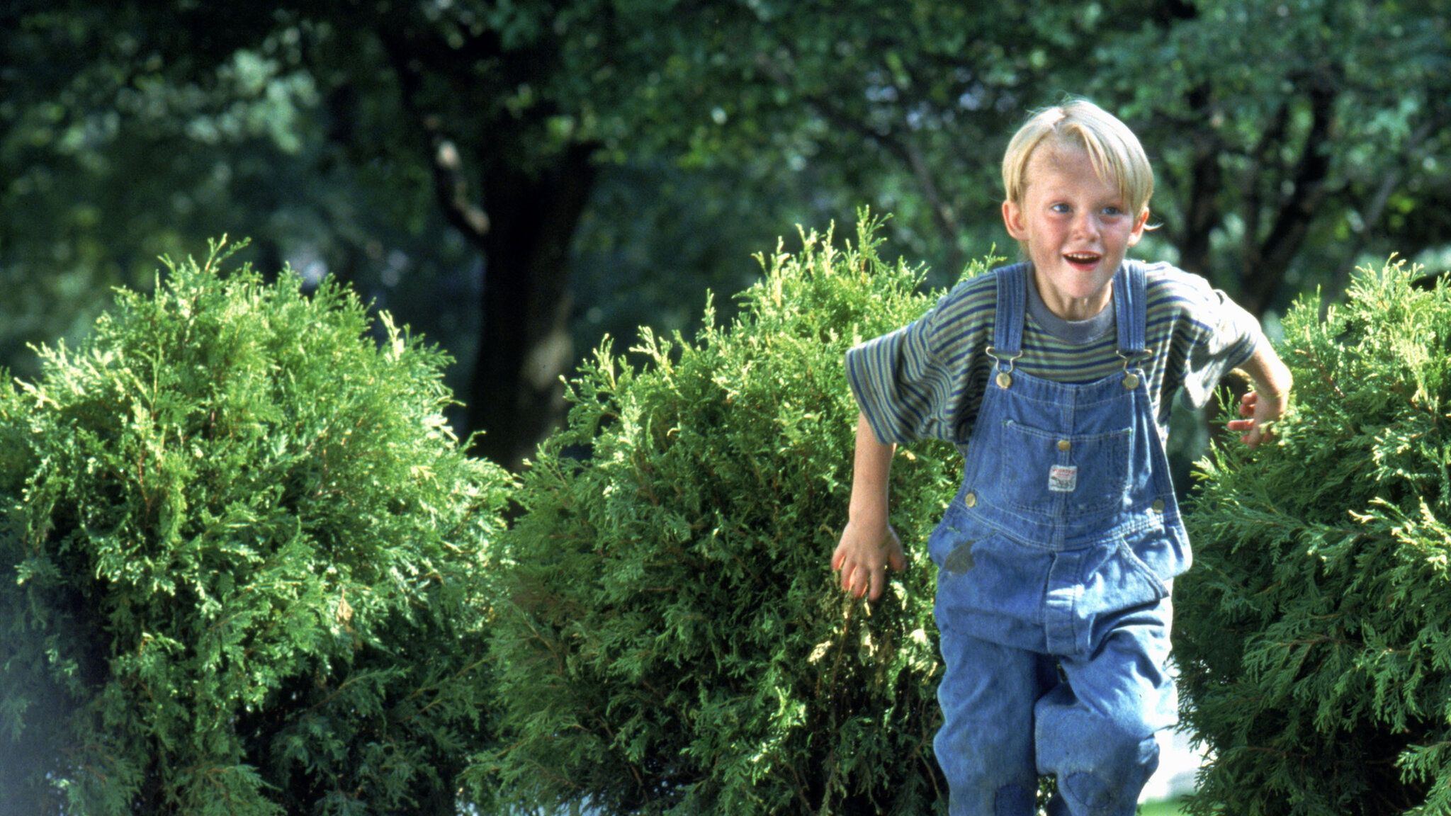 2048x1152 Dennis the Menace_hook_04_16x9