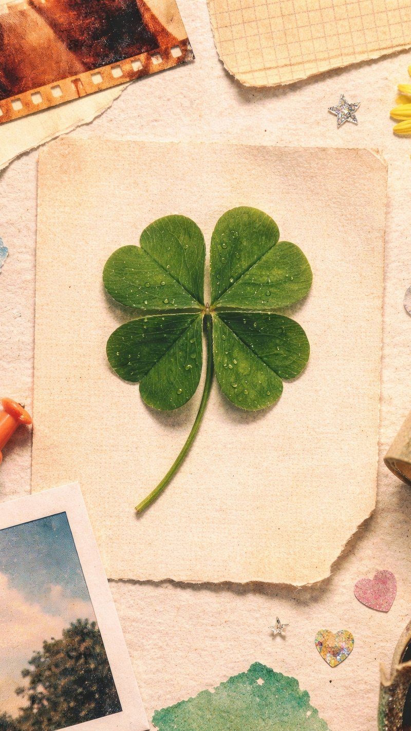 800x1422 Four Leaf Clover Decoration Background Aesthetic Photo Image Wallpaper