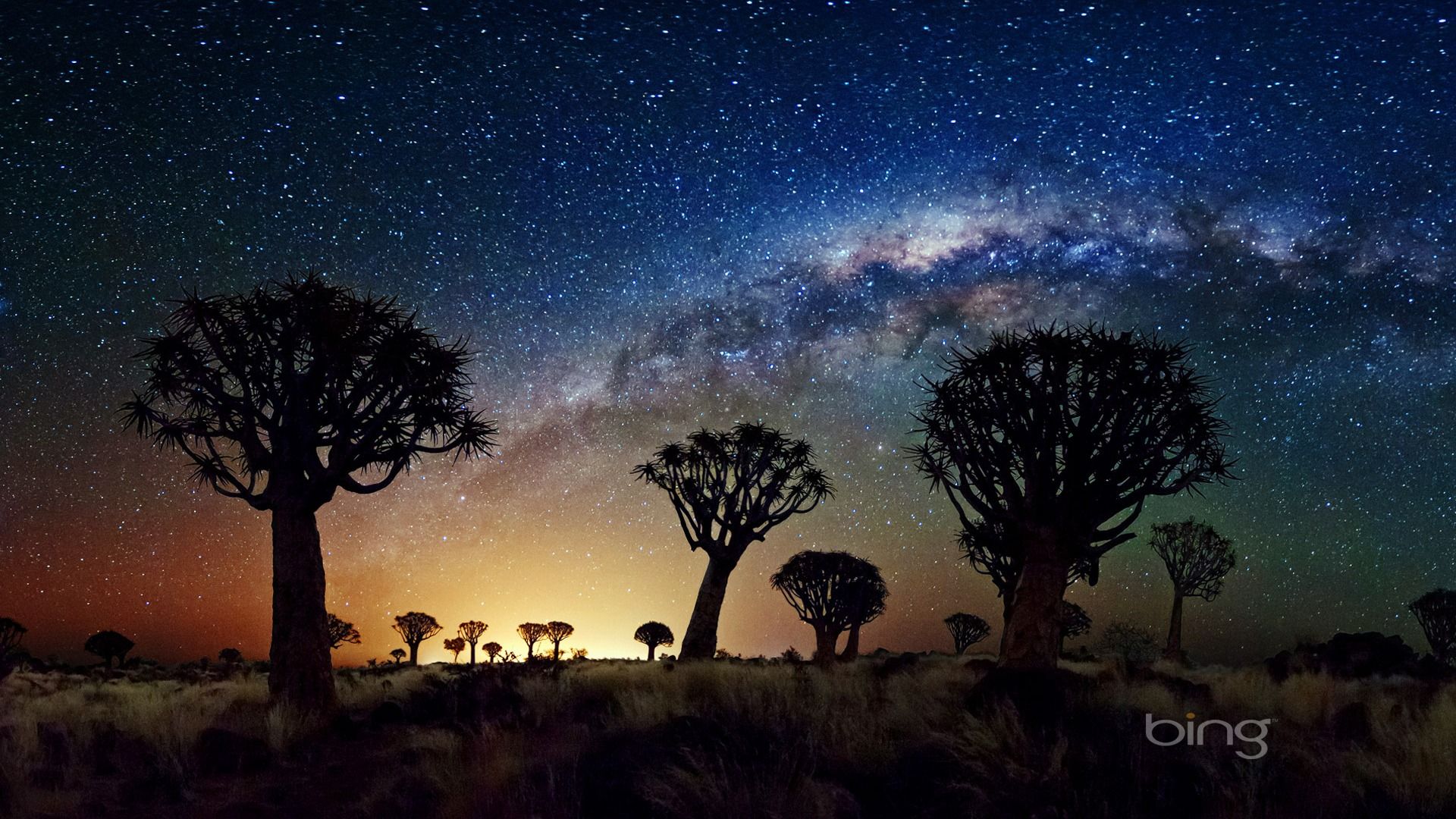 1920x1080 African Grasslands Night Sky May 2013 Bing Wallpaper