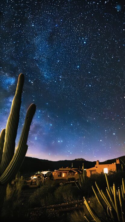 415x740 African night Image