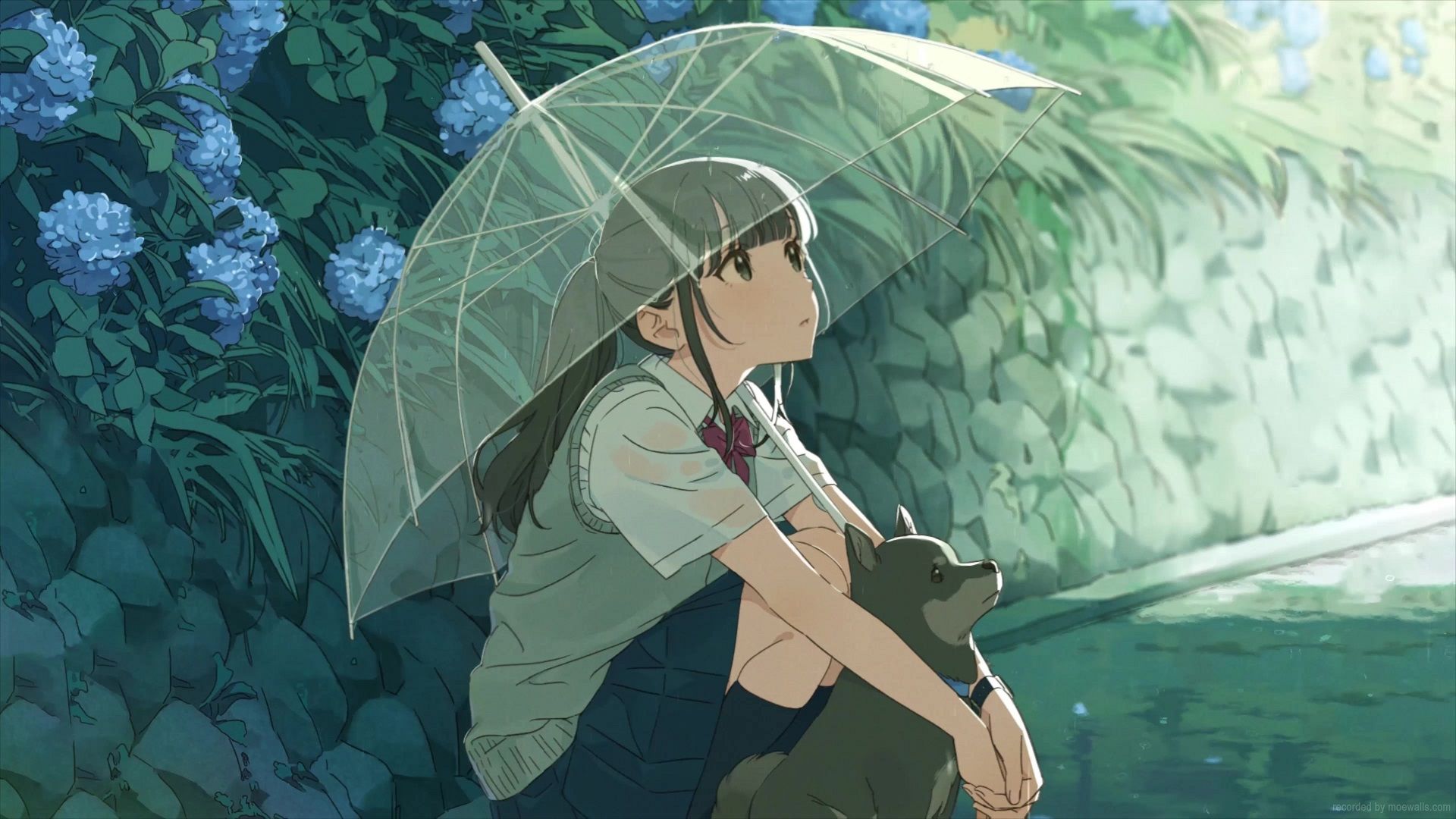 1920x1080 Umbrella Anime School Girl Watching The Rain With Her Dog Live Wallpaper