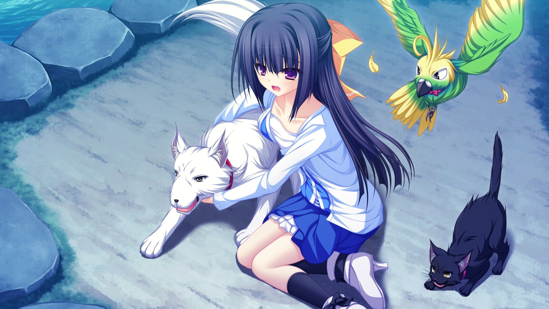 1920x1080 anime girls, Birds, Dog, Cat, Animals, Visual novel, Lunaris Filia, Minase Yukari, Schoolgirls Wallpaper HD / Desktop and Mobile Background