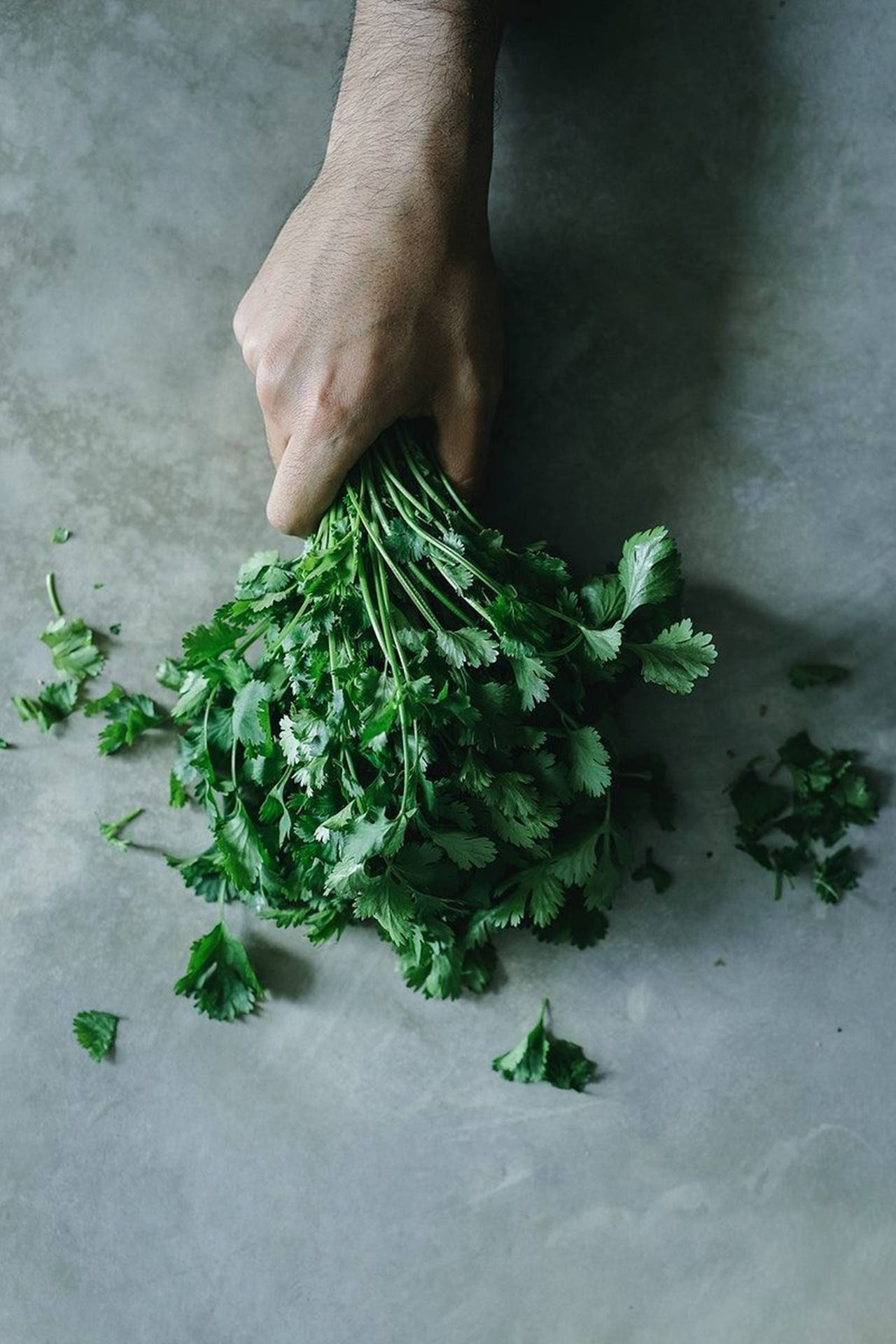1280x1920 Coriander Wallpaper