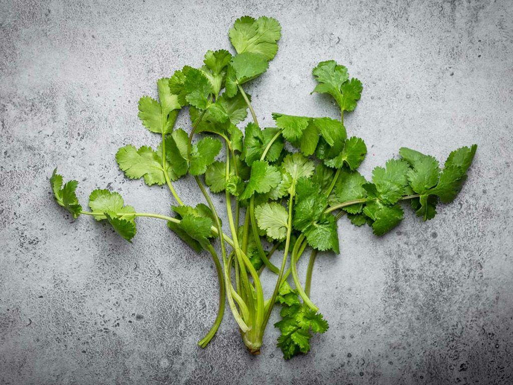 1024x768 Keto Friendly Cilantro: Is Coriander Low Carb?