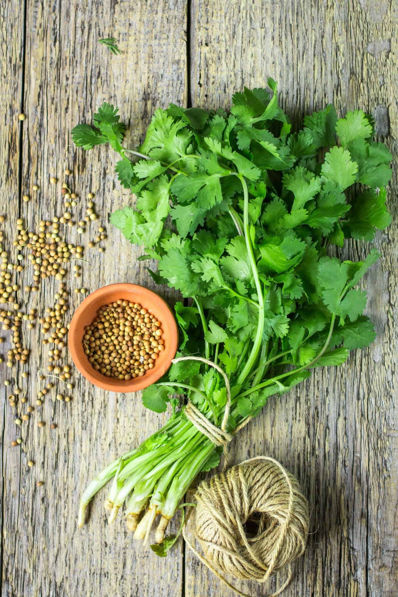1365x2048 Cilantro Wallpaper