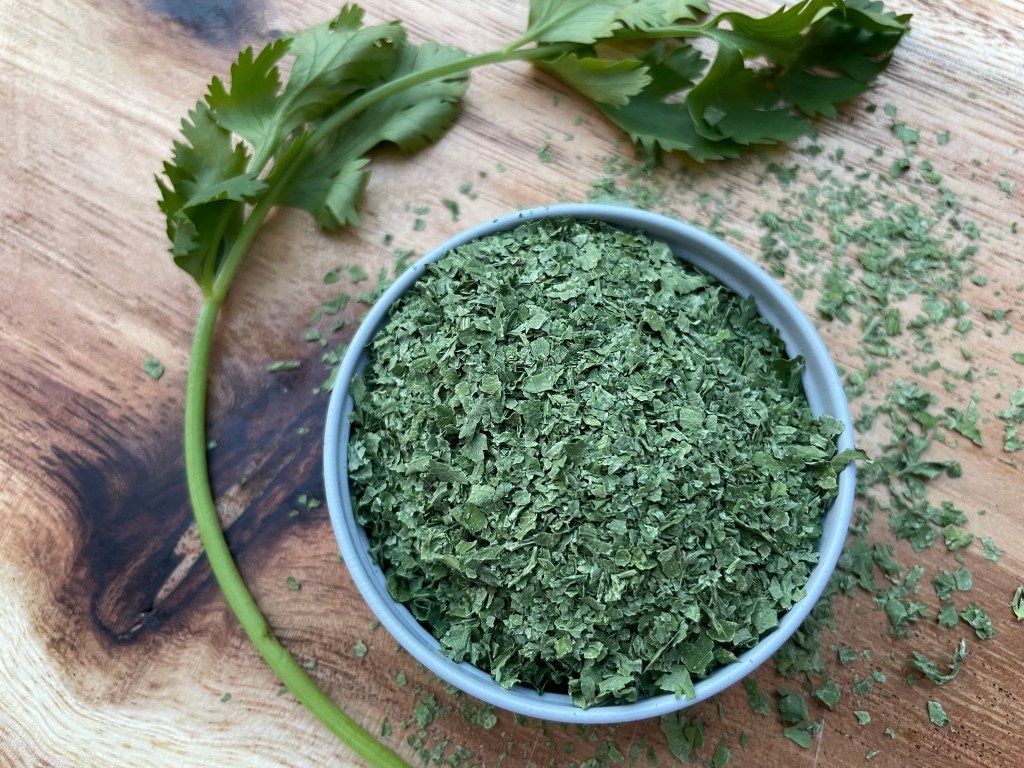 1024x768 How to Dehydrate Cilantro
