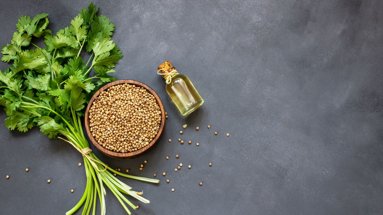 1600x900 Cilantro Vs. Coriander: What's The Difference?