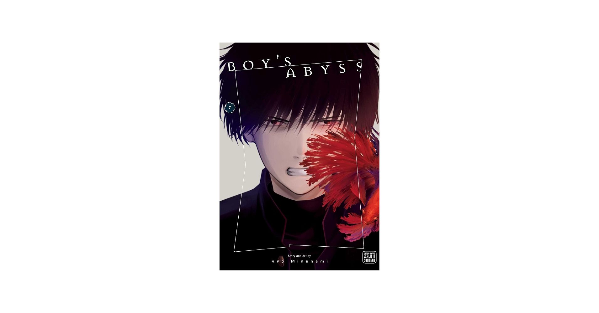 1910x1000 Boy's Abyss, Vol. 7: 9781974748952: Minenami, Ryo: Books