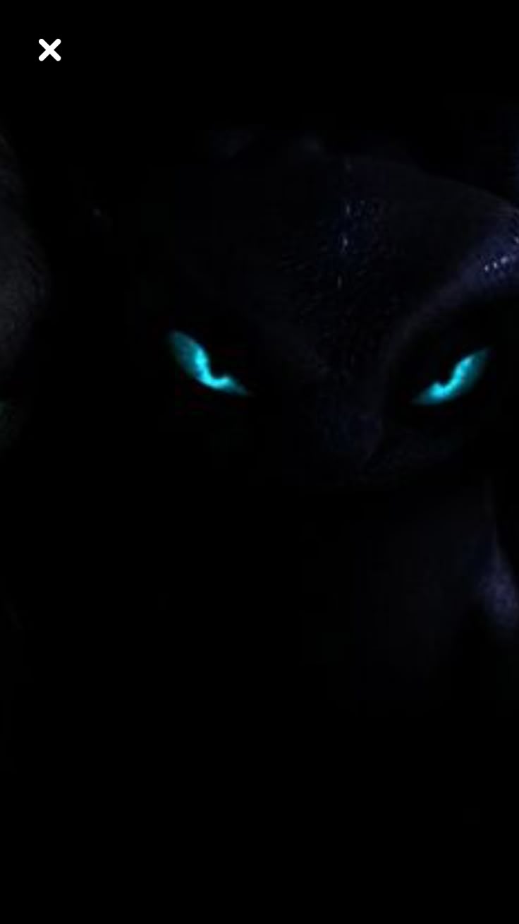 736x1309 Nightfury wallpaper. Toothless dragon wallpaper, Night fury wallpaper, Black cat