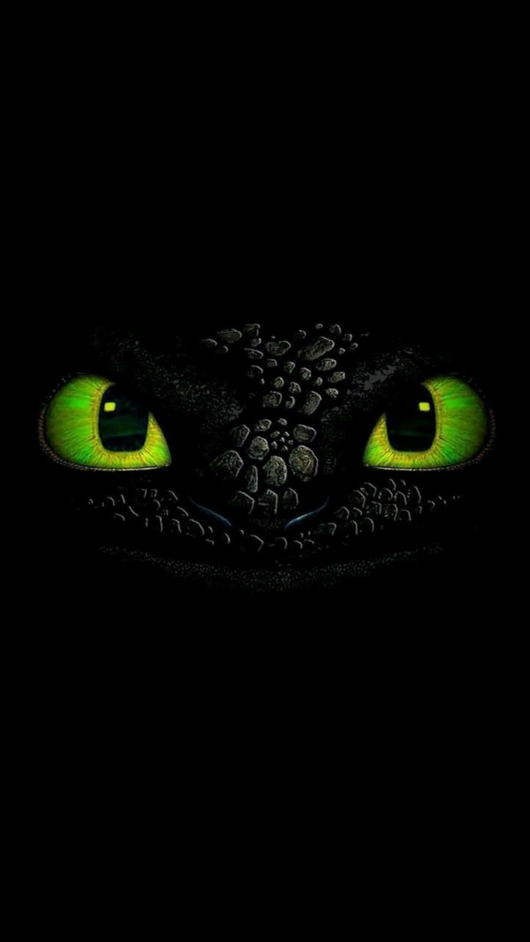 1080x1920 Toothless Wallpaper
