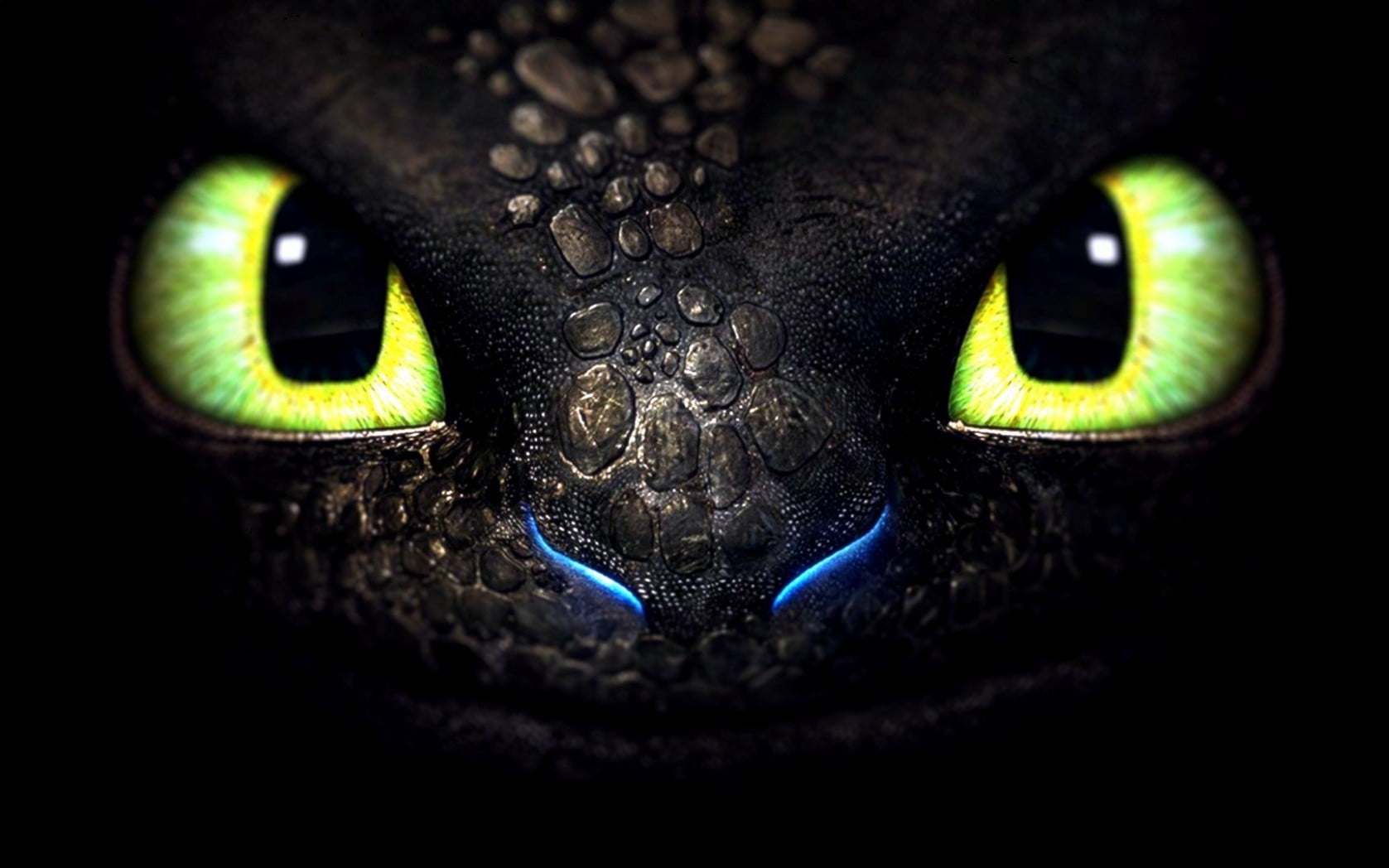 1677x1048 How To Train Your Dragon Toothless graphic wallpaper HD wallpaper