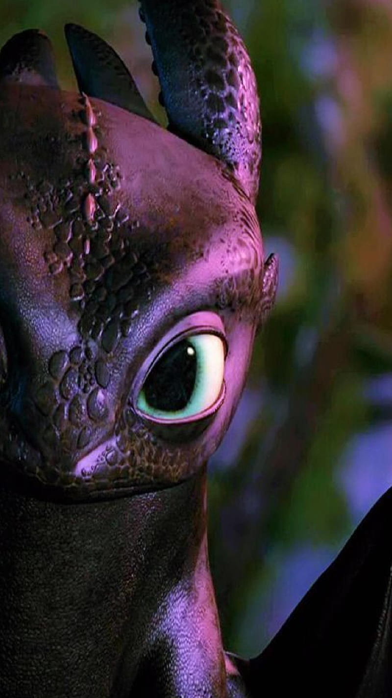 800x1422 Toothless, efv, HD phone wallpaper